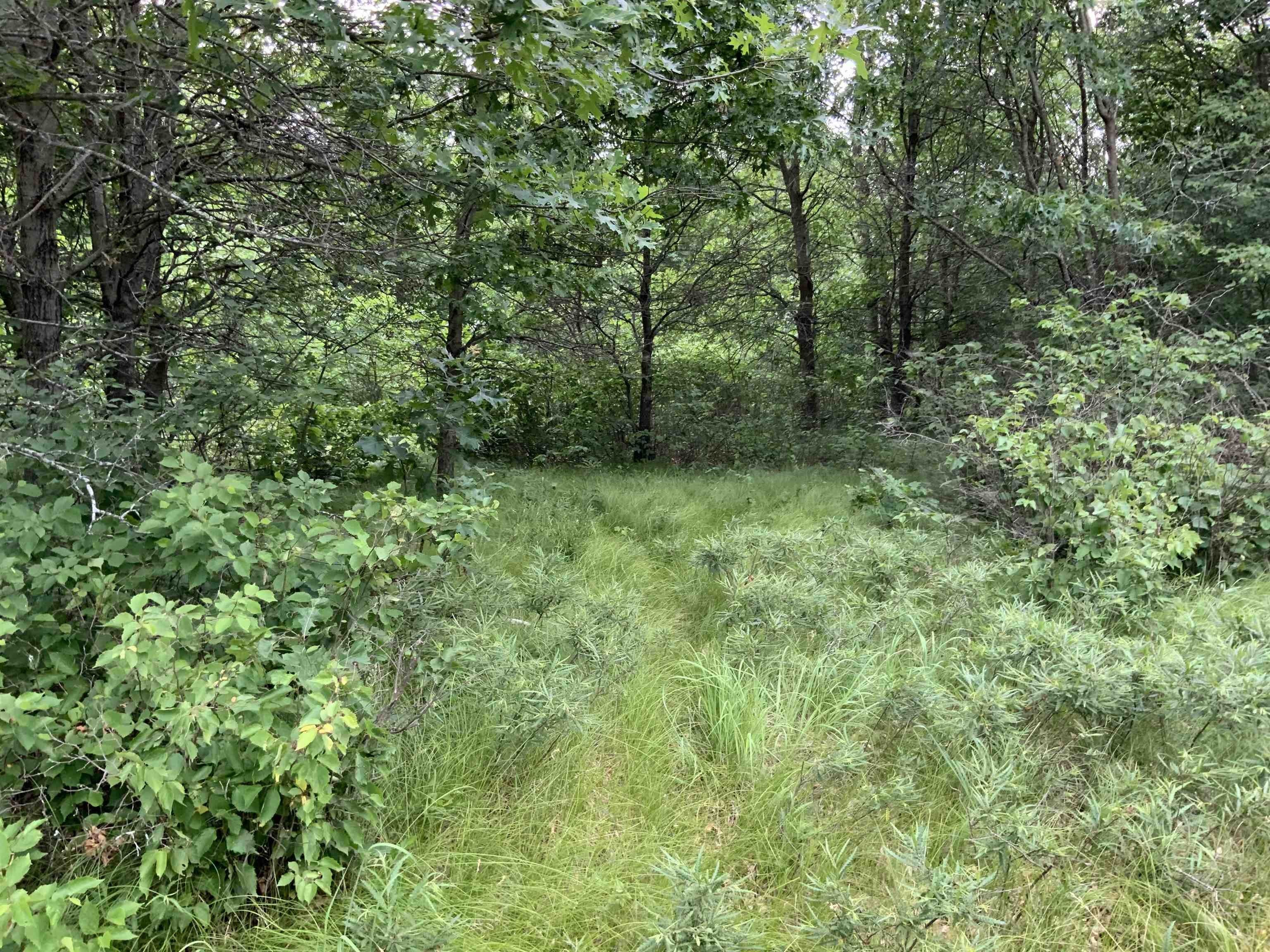 Necedah, Juneau County, WI Undeveloped Land, Homesites for sale