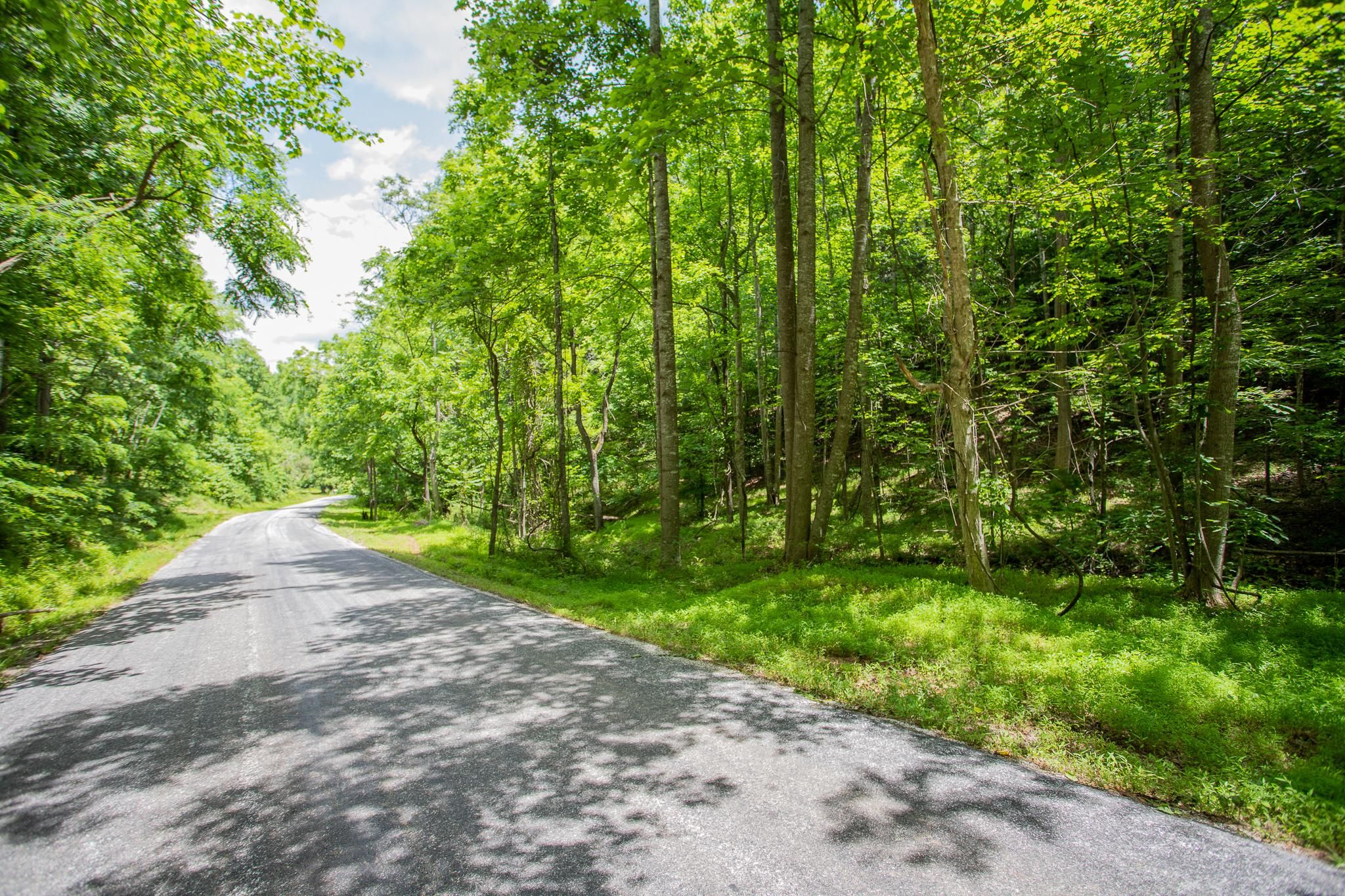 Amherst, Amherst County, VA Recreational Property, Hunting Property for