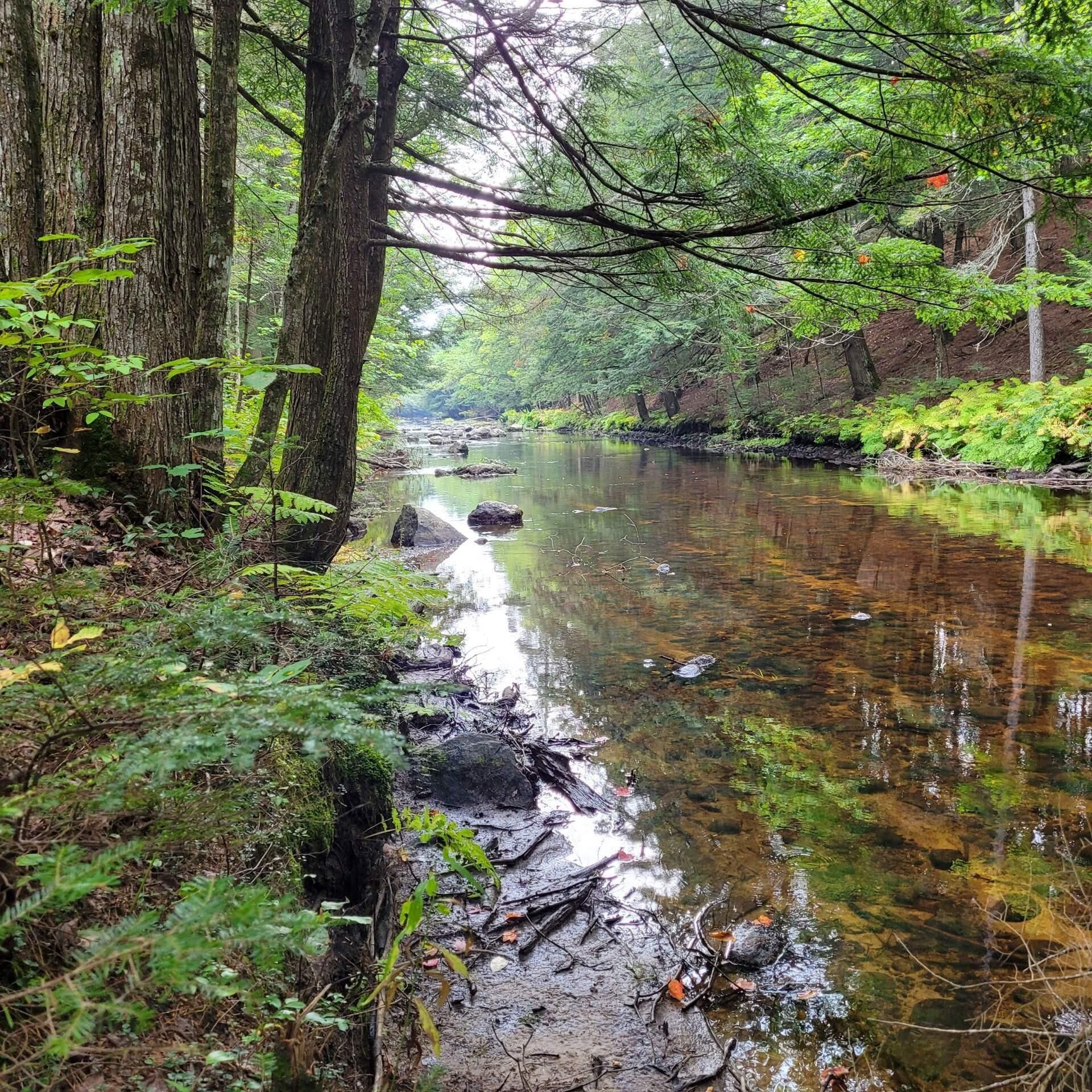 Buckfield, Oxford County, ME Undeveloped Land, Lakefront Property