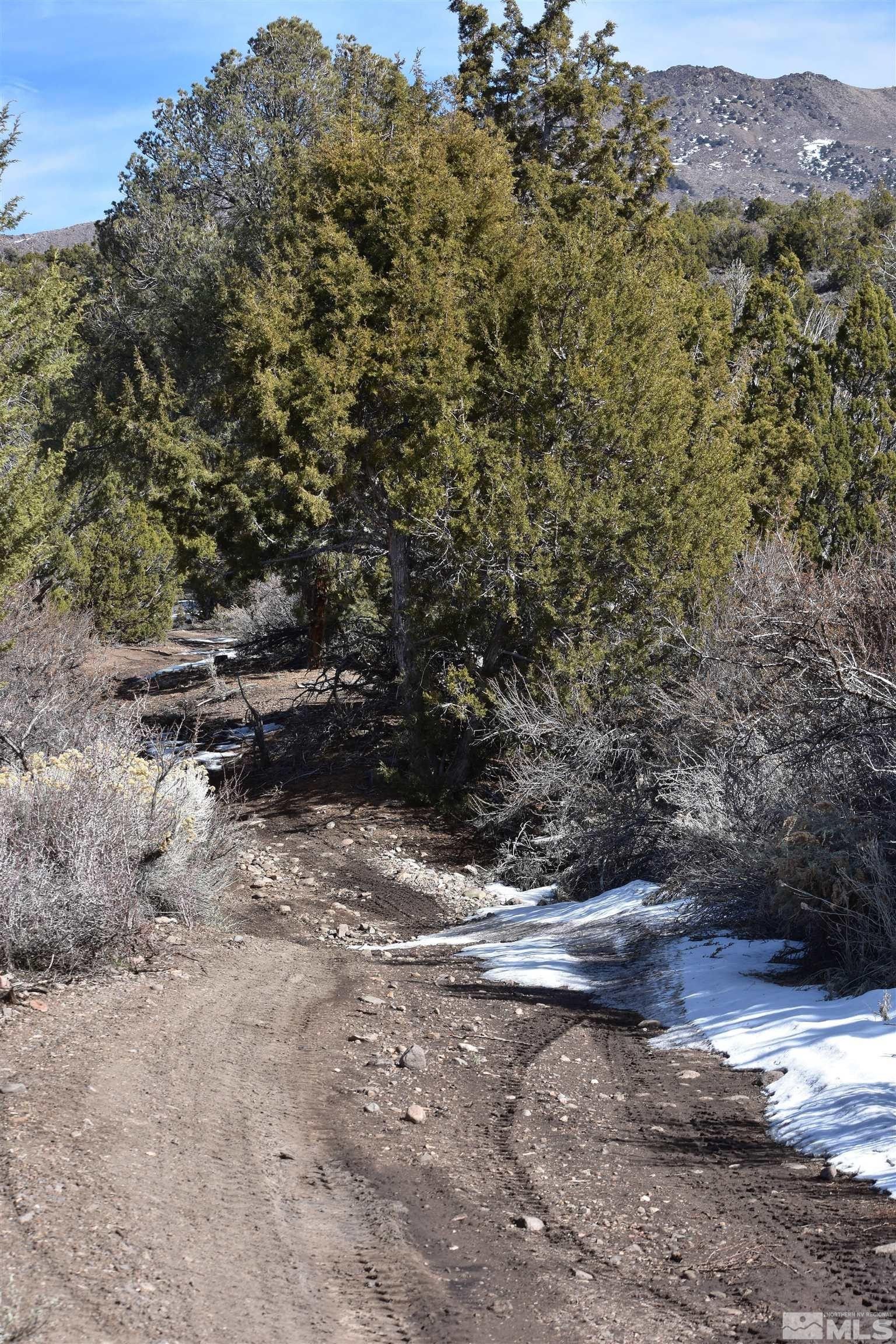 Gardnerville, Douglas County, NV Undeveloped Land for sale Property ID