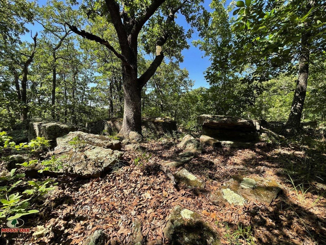 Niotaze, Chautauqua County, KS Farms and Ranches, Hunting Property