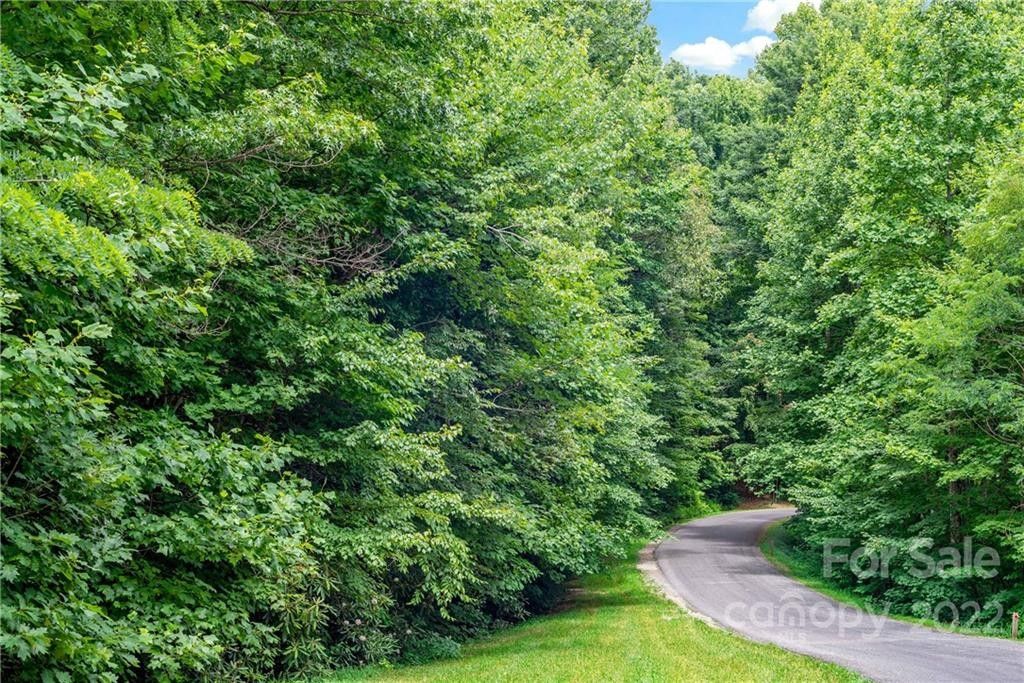 Old Fort, McDowell County, NC Undeveloped Land, Lakefront Property