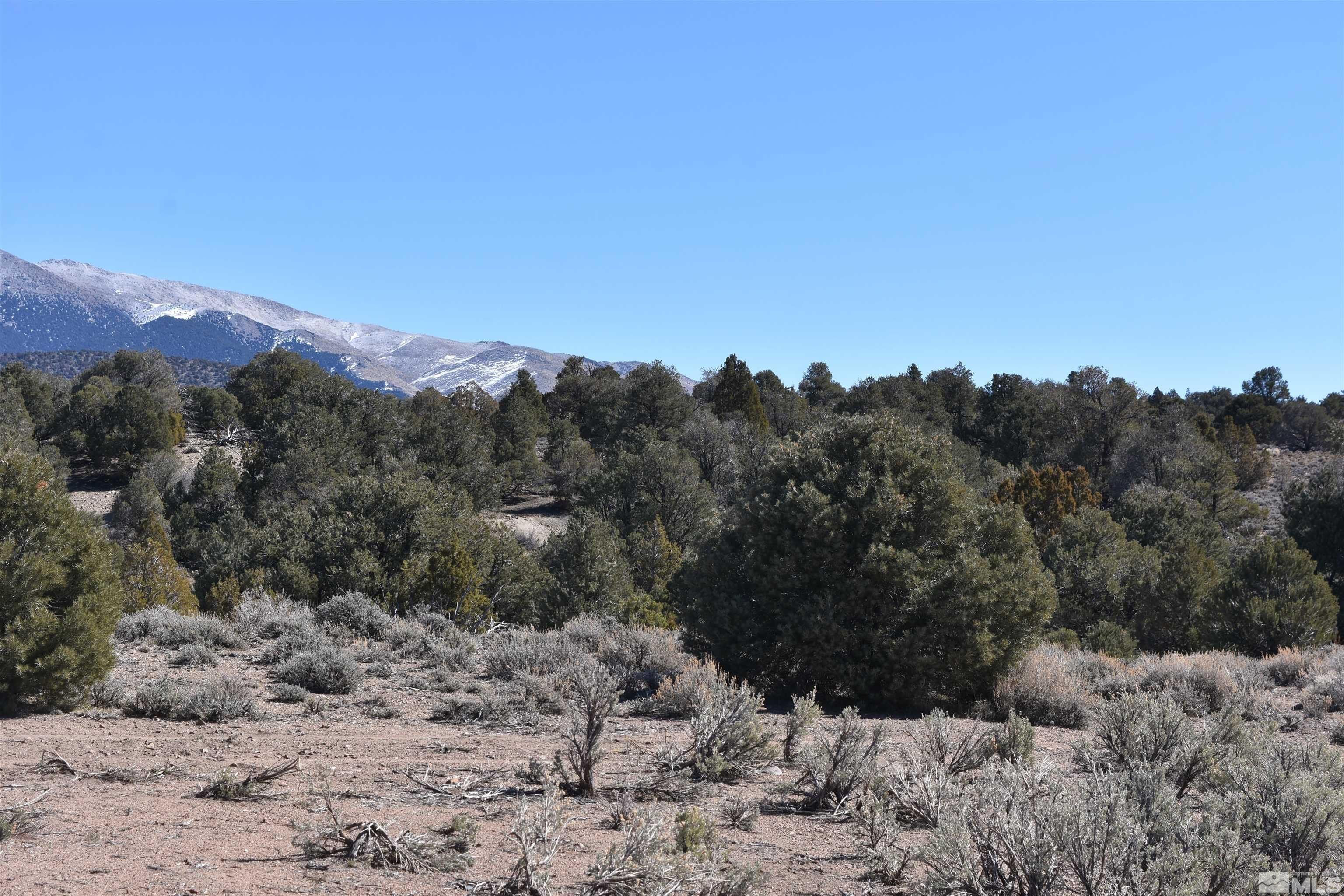 Tbd South of Buckeye Ranch (43), Gardnerville, NV 89410 MLS