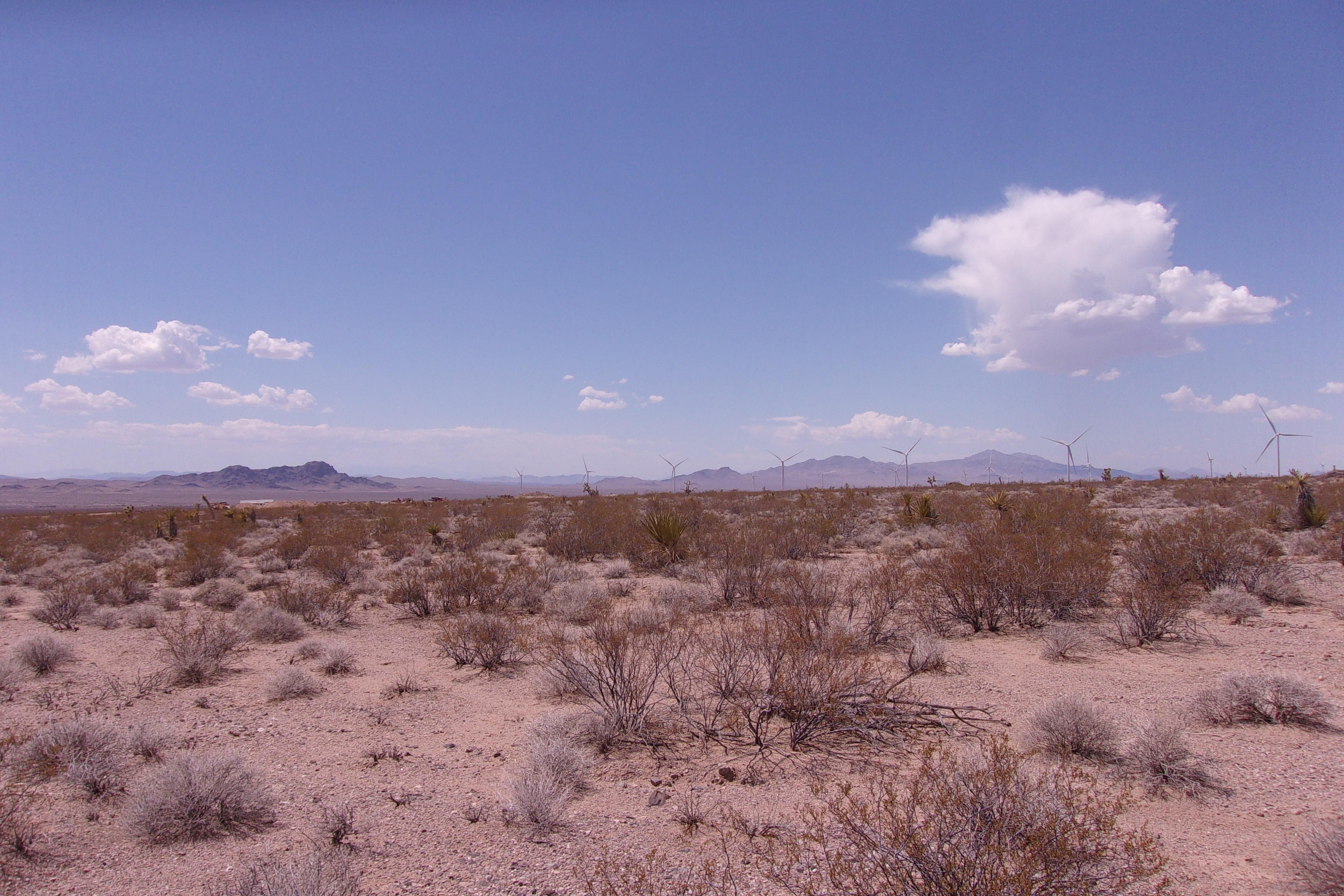 Willow Beach, Mohave County, AZ Recreational Property, Undeveloped Land