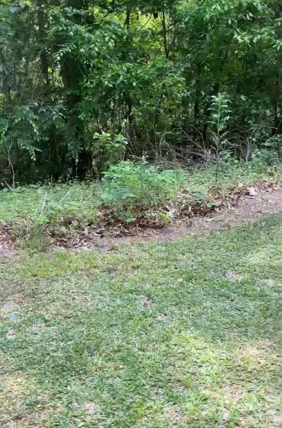 Quinby, Florence County, SC Undeveloped Land, Homesites for auction