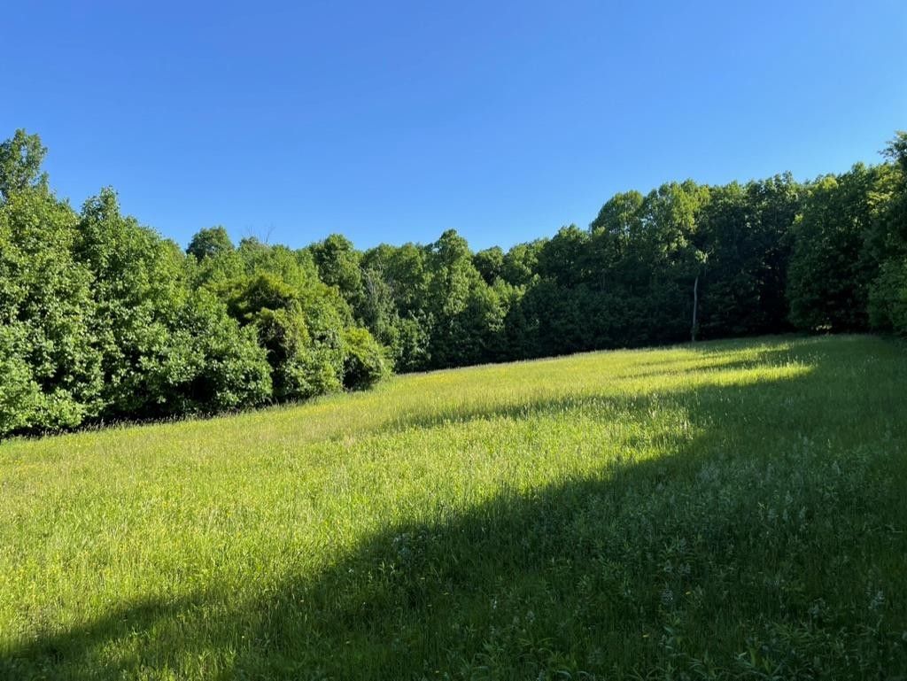 Fancy Gap, Carroll County, VA Farms and Ranches, Lakefront Property