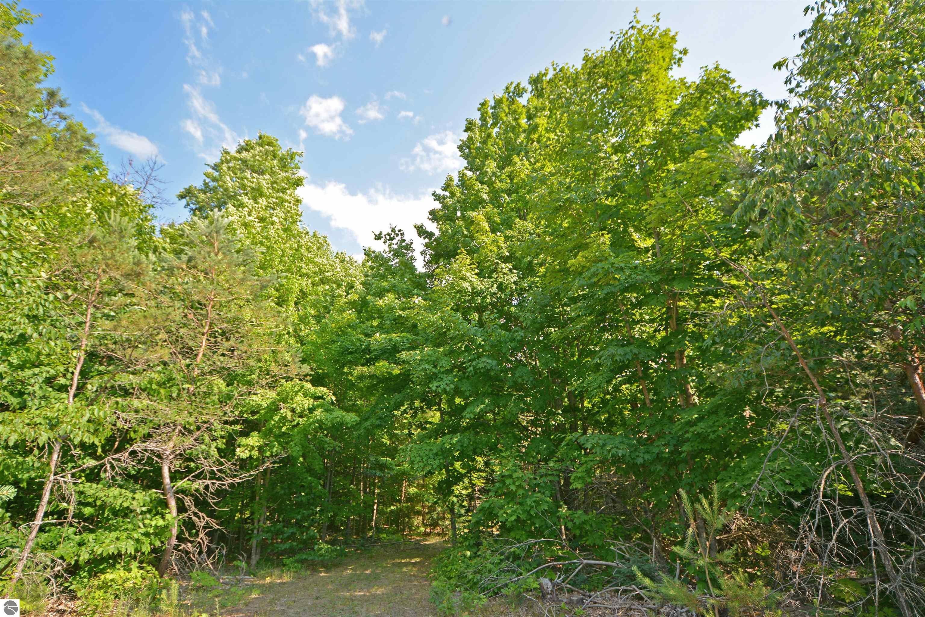 Beulah, Benzie County, MI Undeveloped Land for sale Property ID