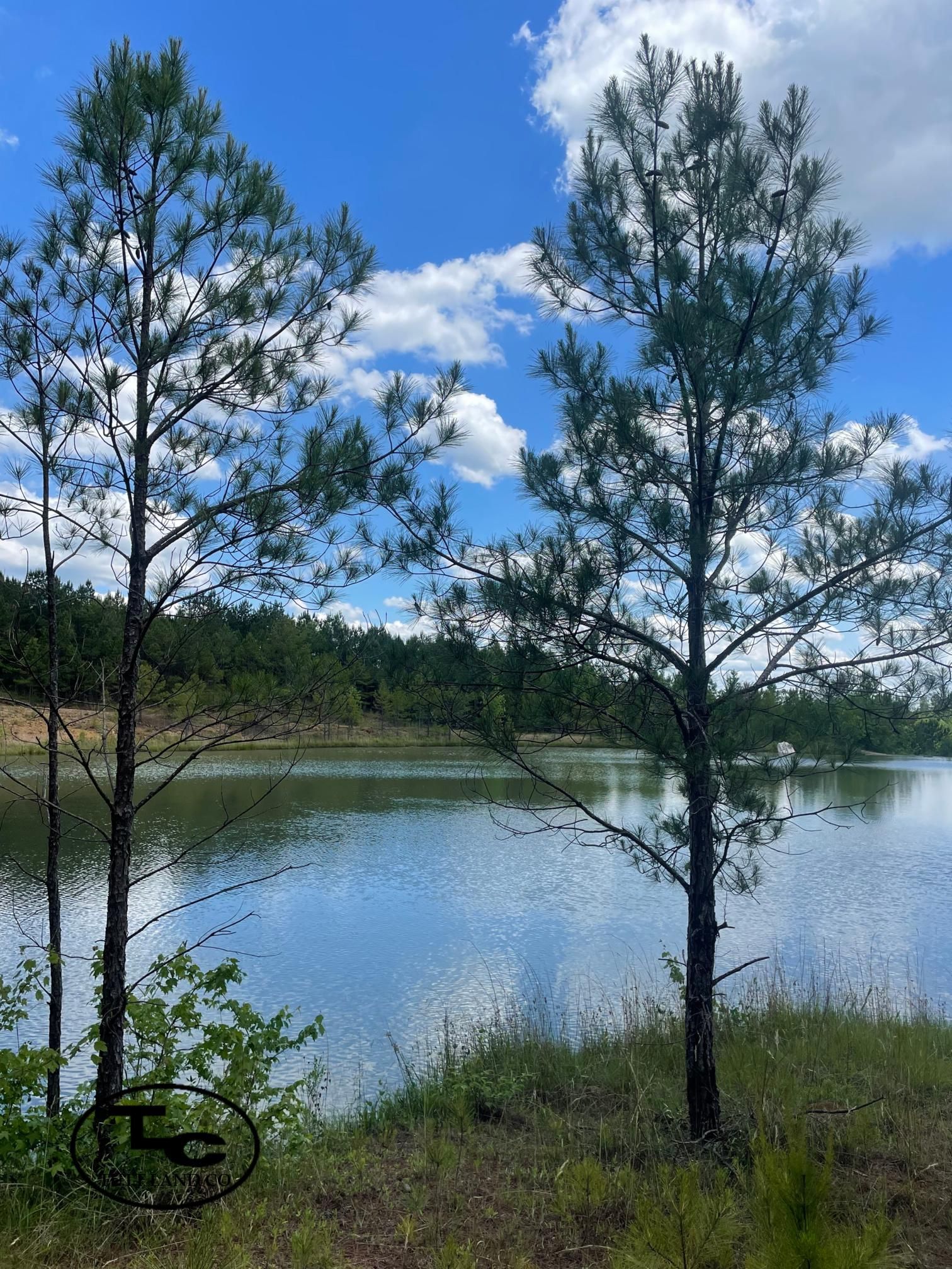 Ashville, Saint Clair County, AL Recreational Property, Timberland