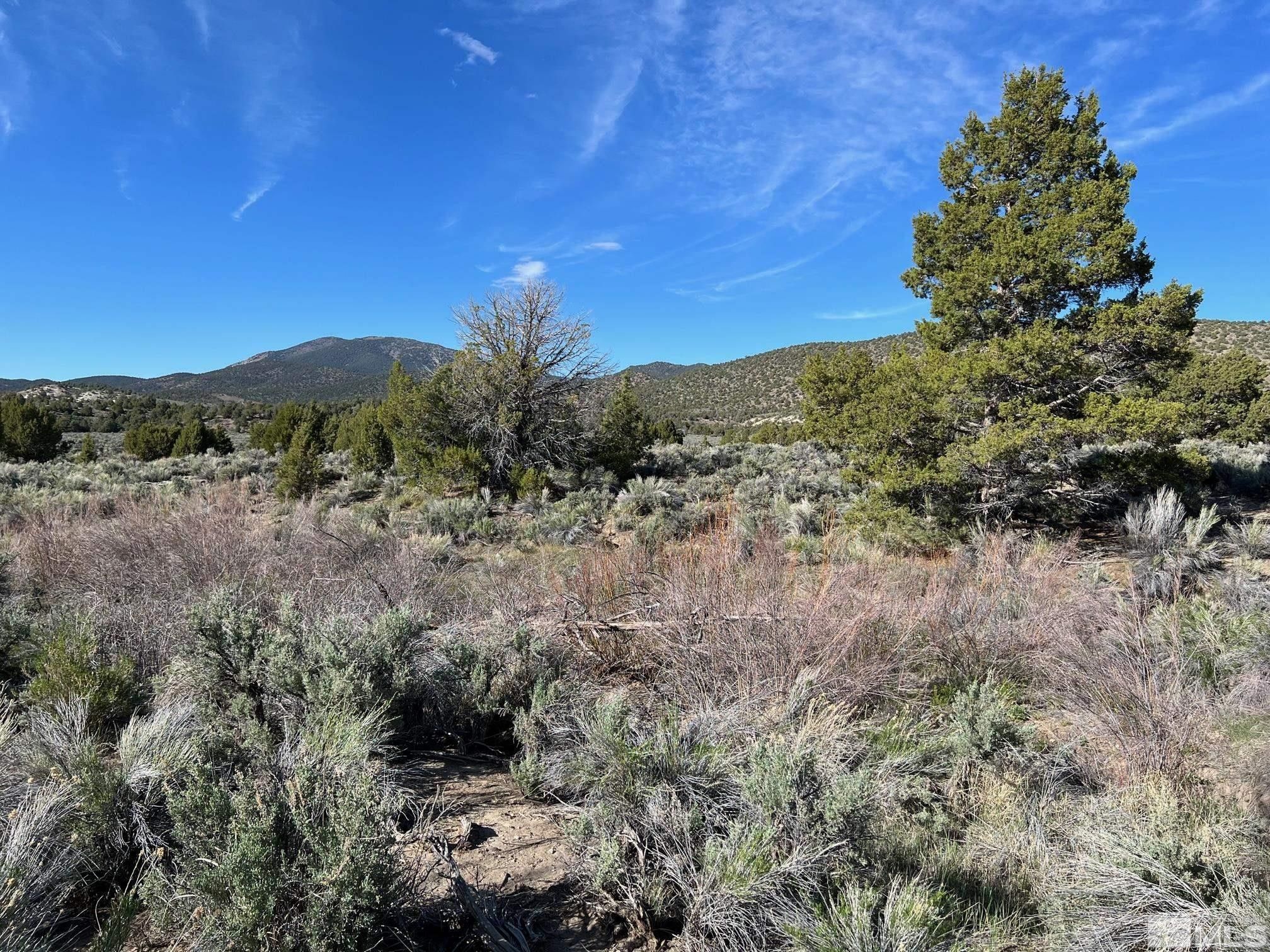 Tbd Pine Nut Mountains (53), Gardnerville, NV 89410 MLS 220009814