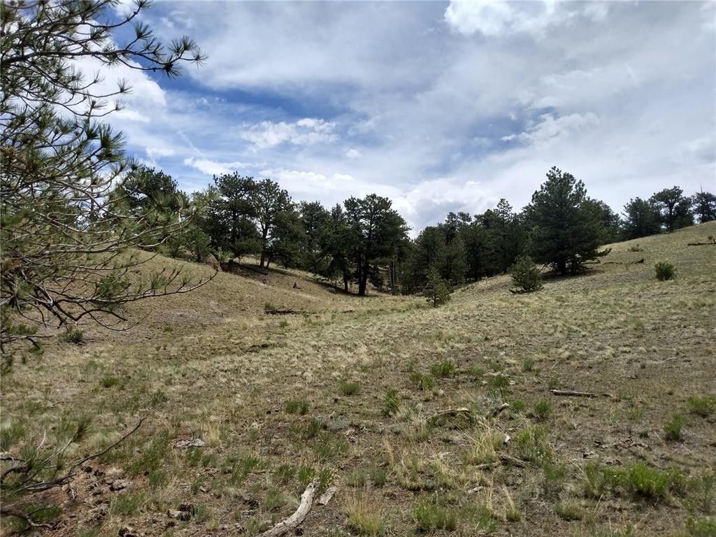 Hartsel, Park County, CO Undeveloped Land for sale Property ID