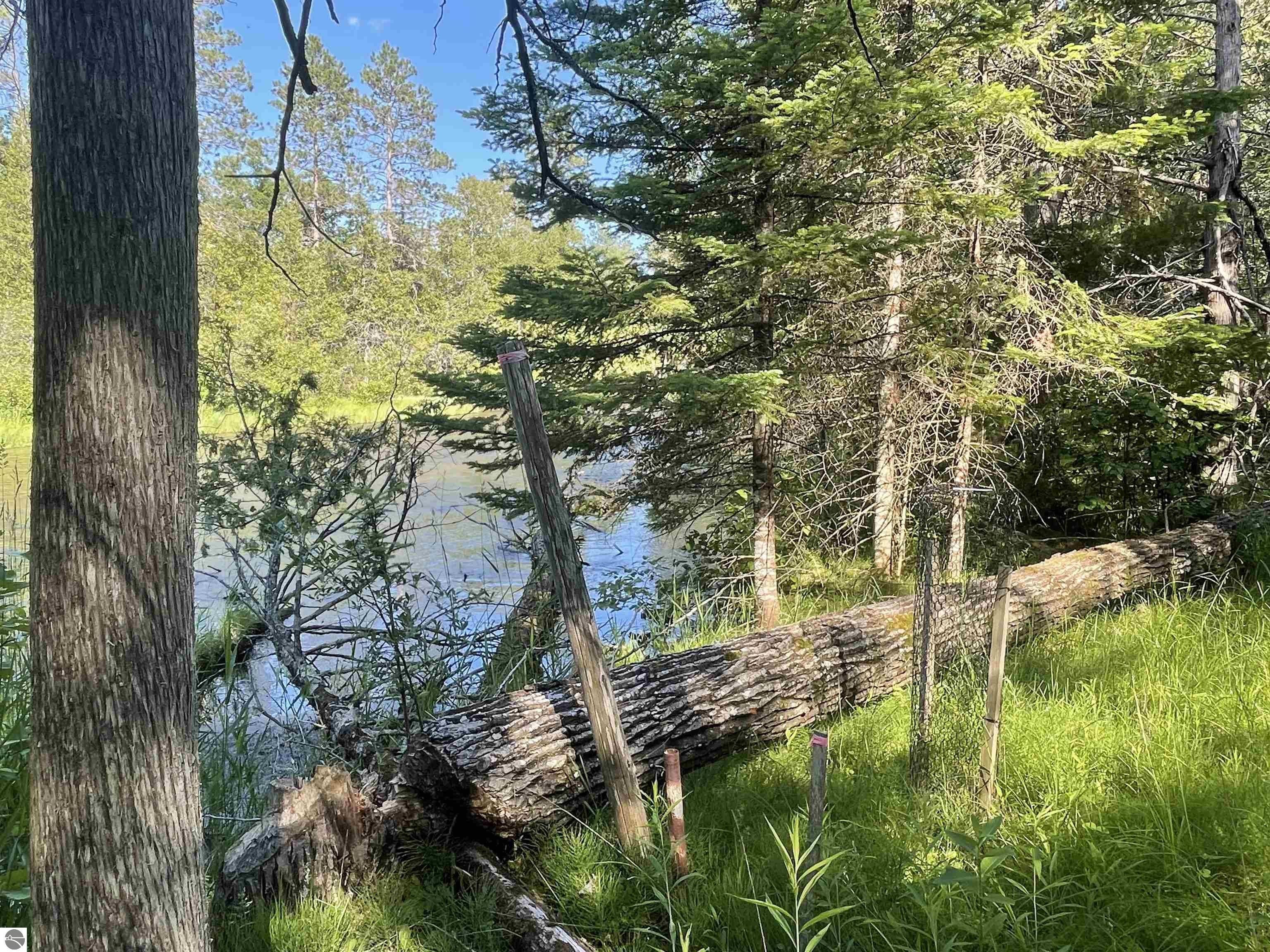 Grayling, Crawford County, MI Undeveloped Land, Lakefront Property