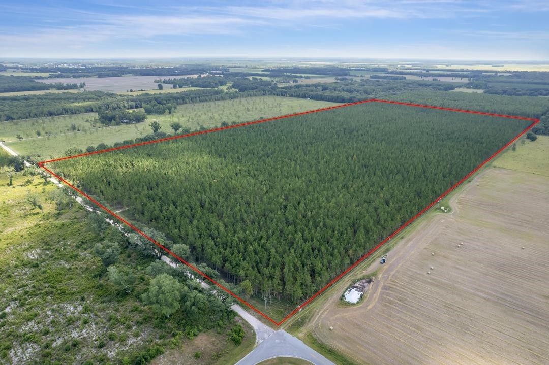 Lee, Madison County, FL Undeveloped Land for sale Property ID