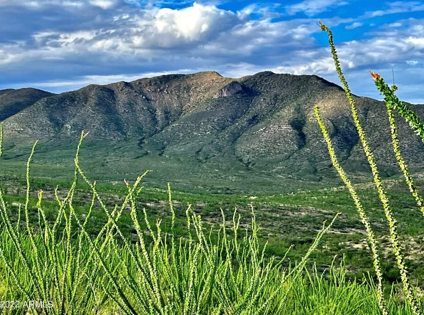 Bisbee, Cochise County, AZ Farms and Ranches, Recreational Property