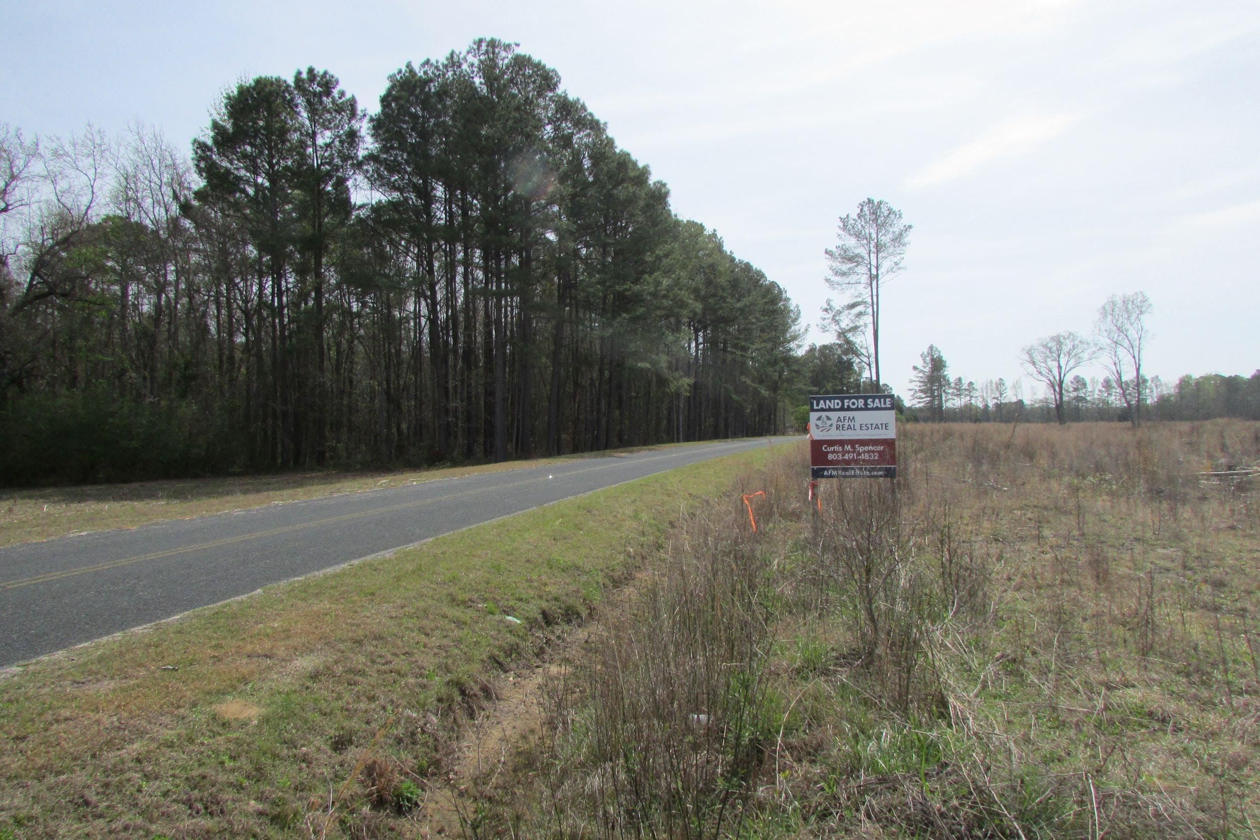 Lamar, Lee County, SC Recreational Property, Timberland Property