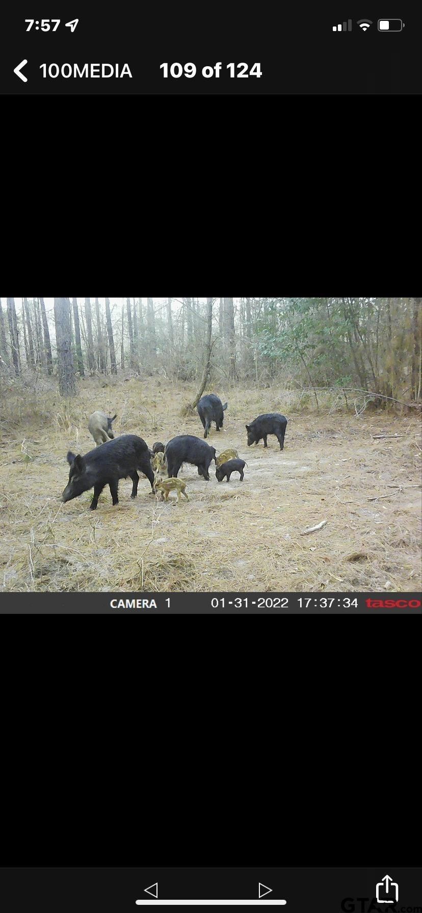 Hughes Springs, Cass County, TX Undeveloped Land for sale Property ID