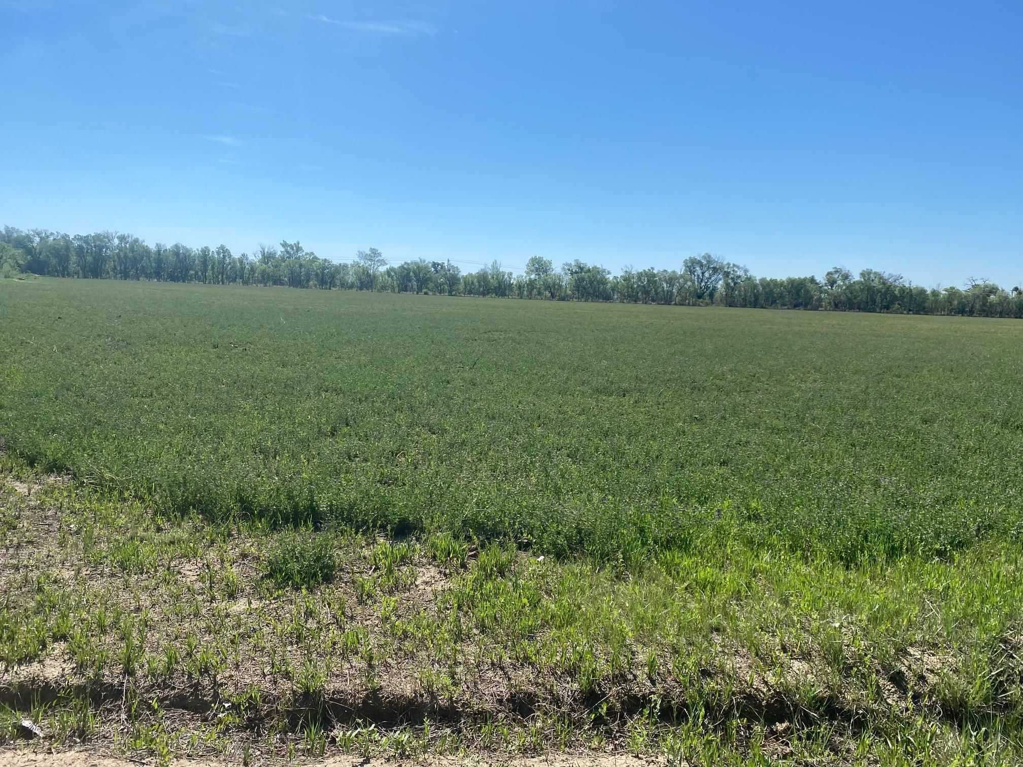 Maxwell, Colfax County, NM Farms and Ranches, Horse Property for sale