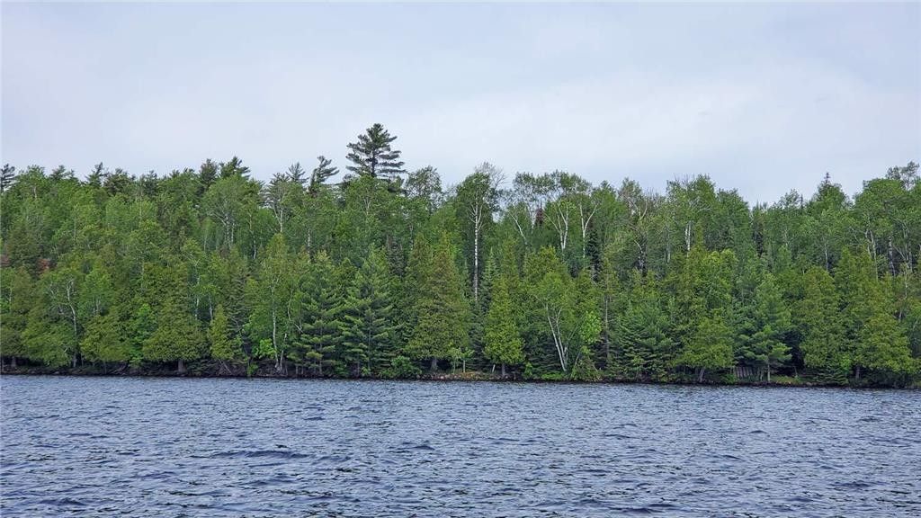 Tower, Saint Louis County, MN Undeveloped Land, Lakefront Property