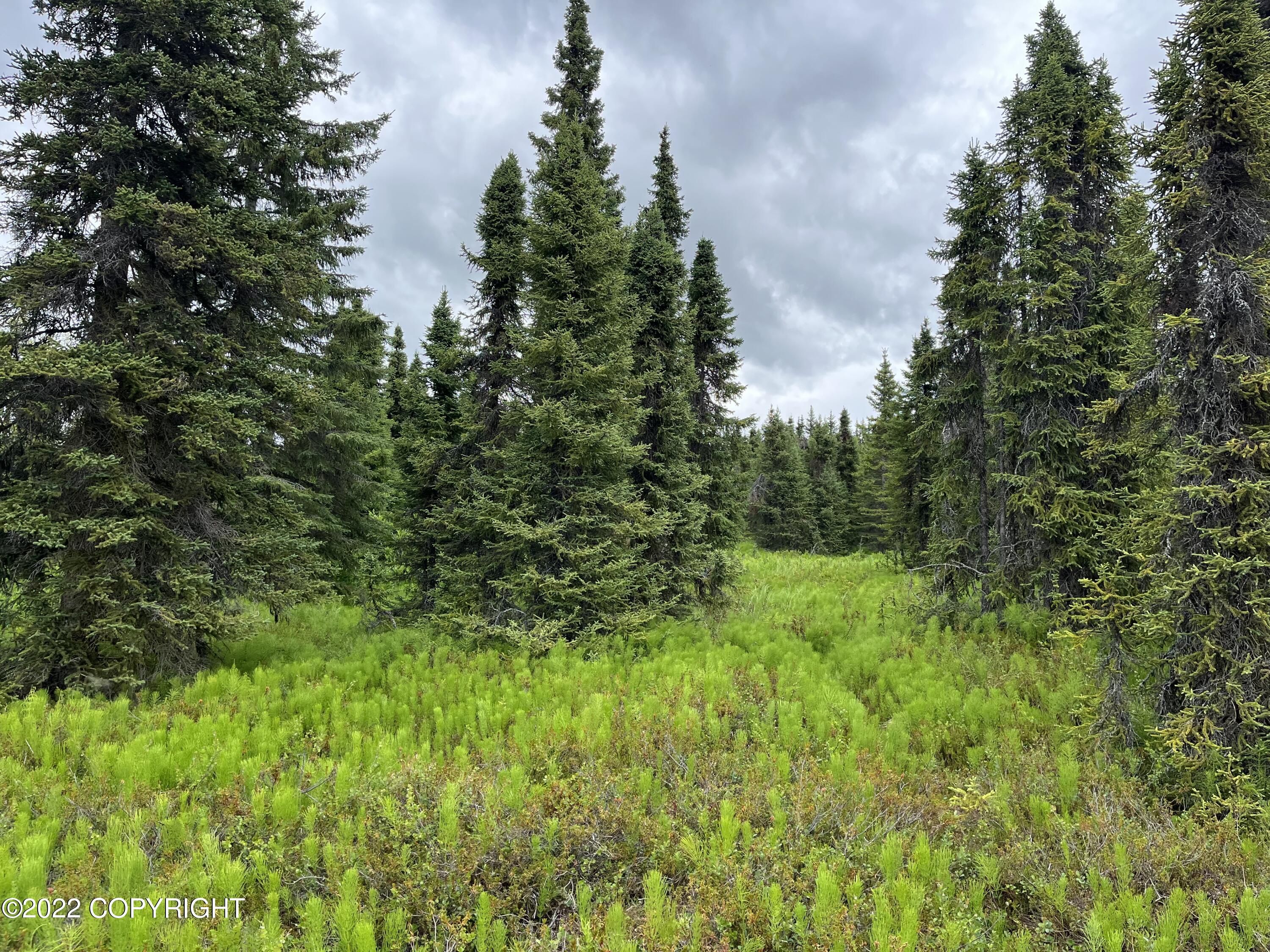 Anchor Point, Kenai Peninsula Borough, AK Undeveloped Land for sale