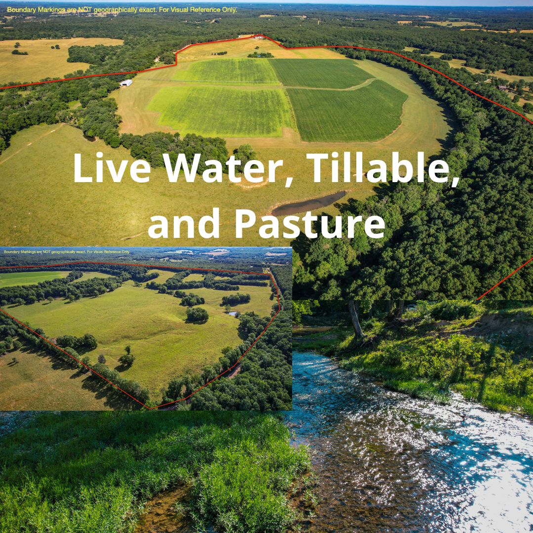 Salem, Dent County, MO Farms and Ranches, House for sale Property ID