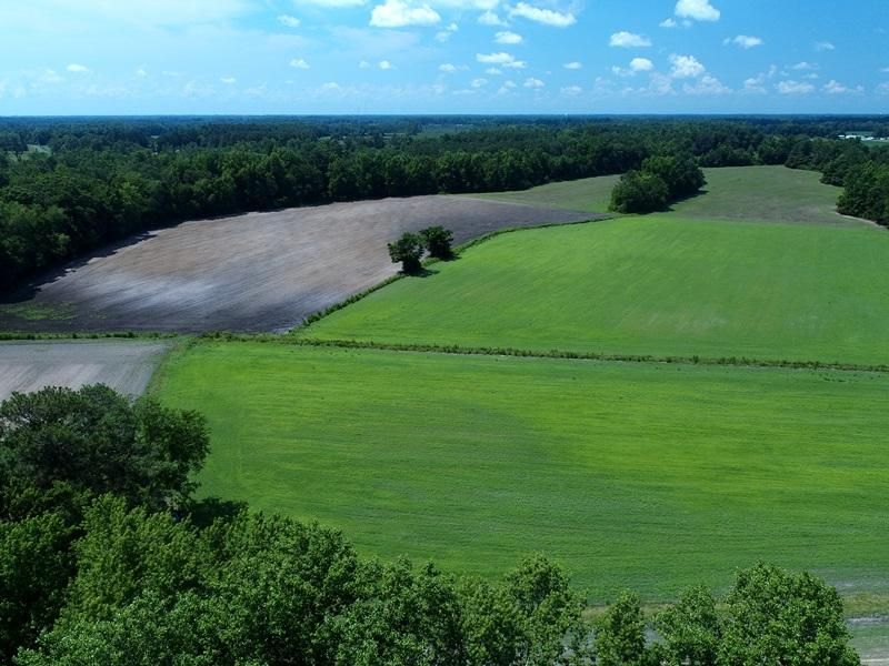 Whiteville, Columbus County, NC Farms and Ranches, Hunting Property for