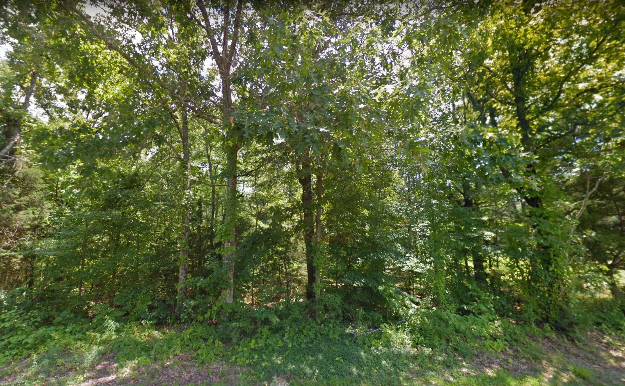 Parsons, Decatur County, TN Recreational Property, Undeveloped Land
