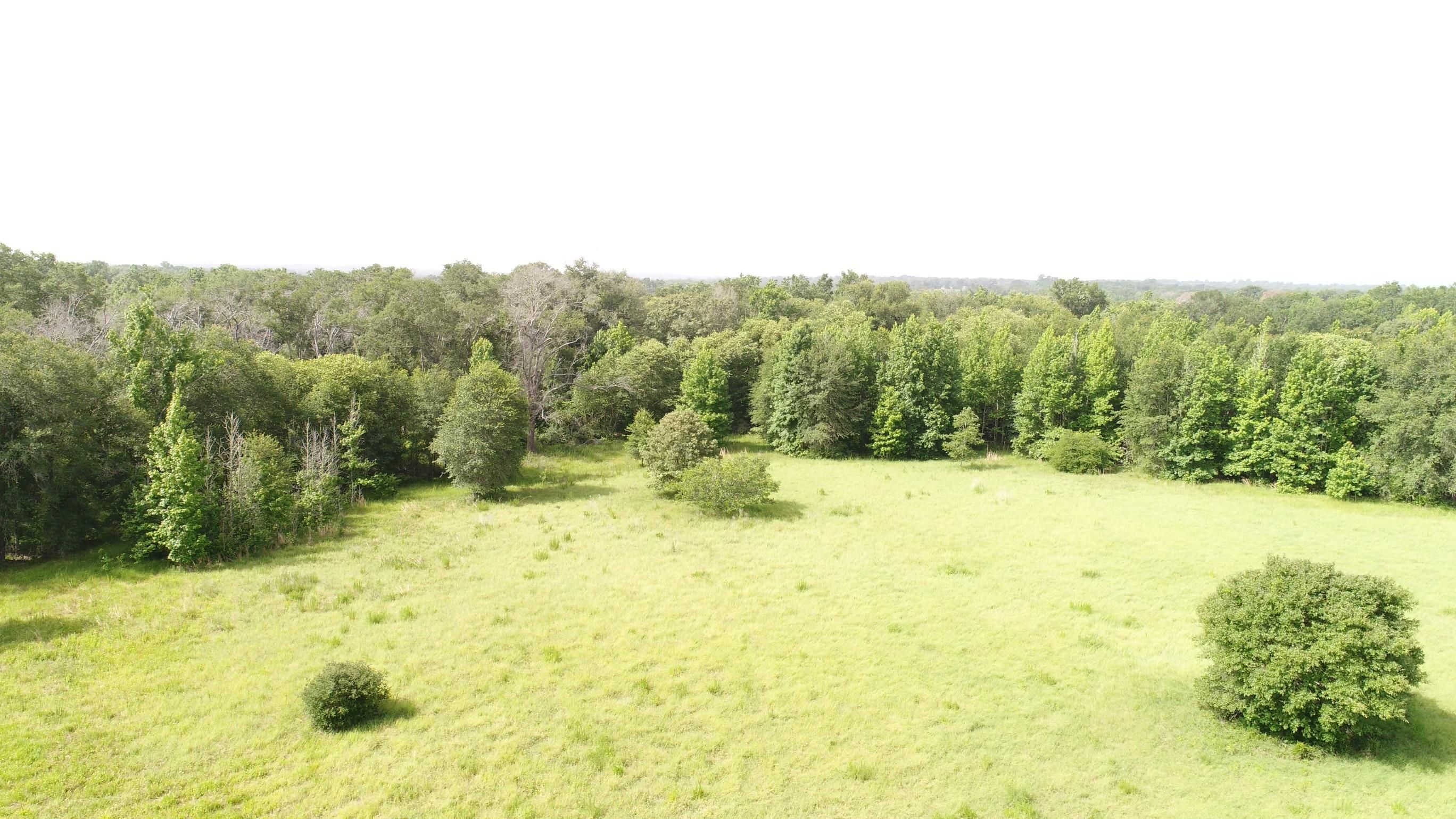 Oakwood, Leon County, TX Farms and Ranches, Recreational Property