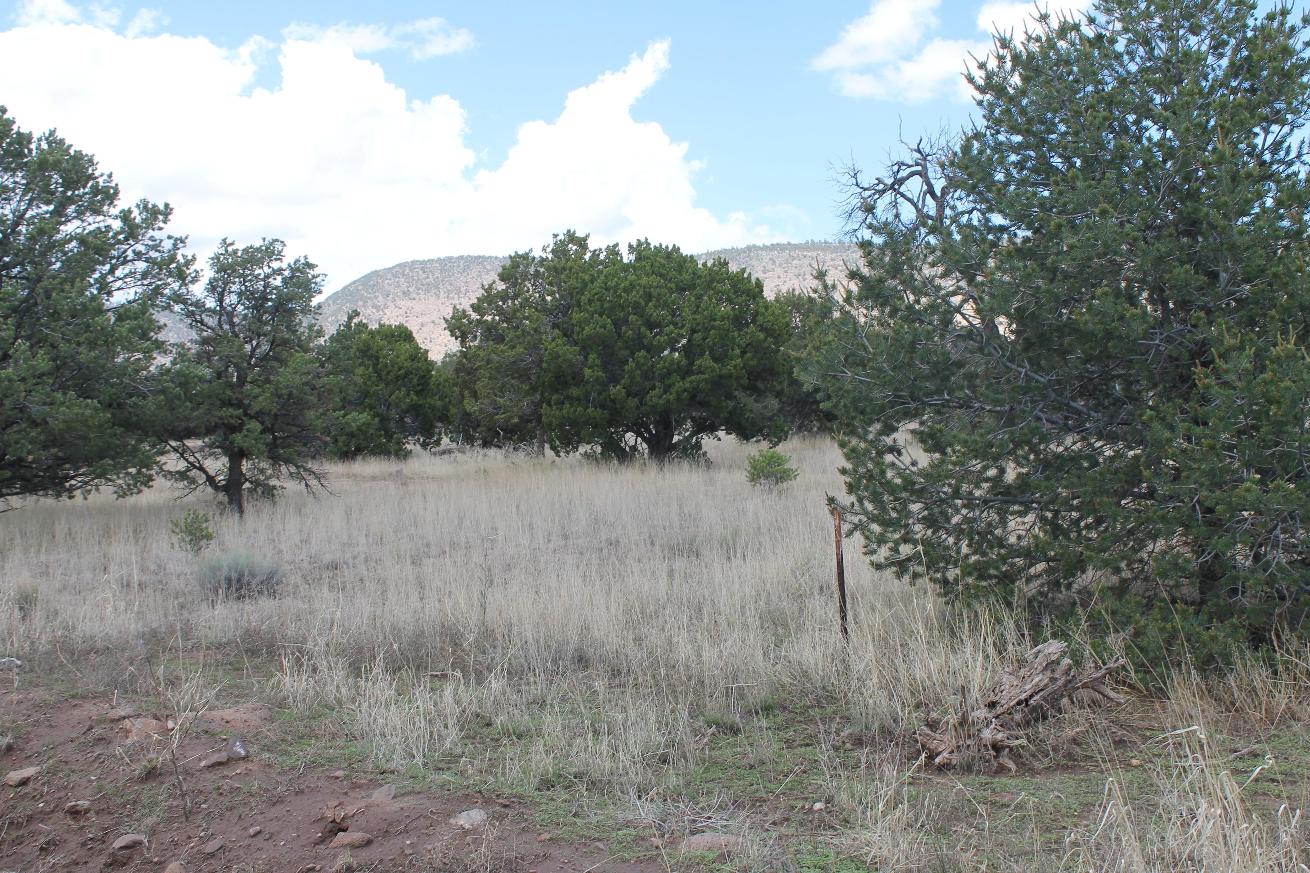 Datil, Catron County, NM Recreational Property, Undeveloped Land for