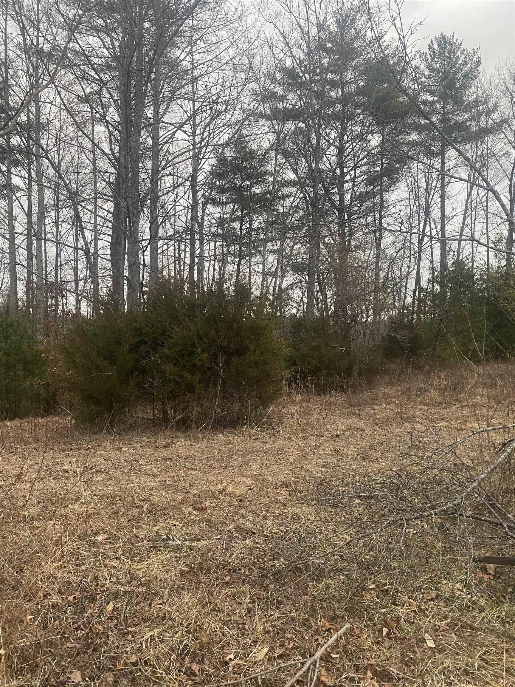 Patrick Springs, Patrick County, VA Undeveloped Land, Homesites for