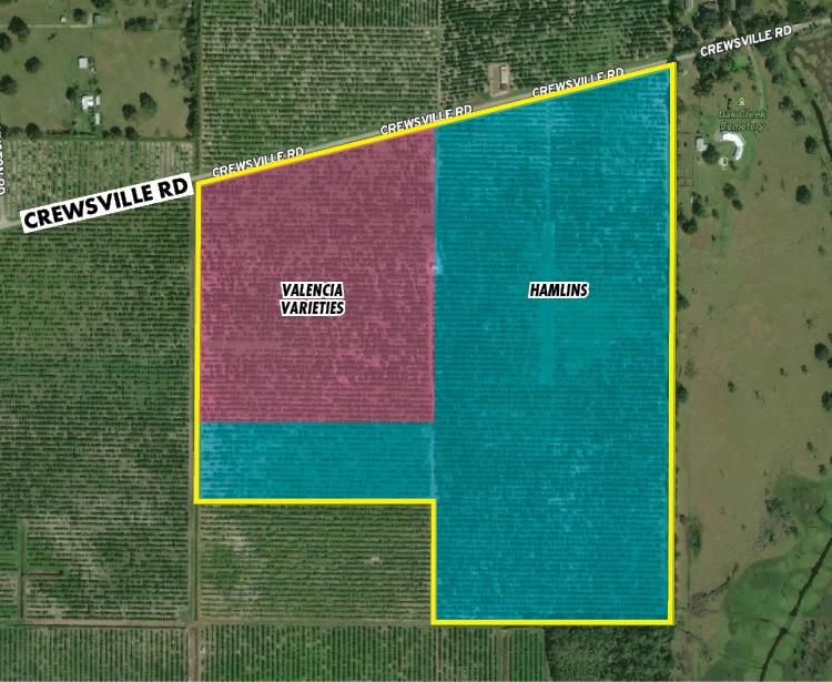 Zolfo Springs, Hardee County, FL Farms and Ranches, Undeveloped Land