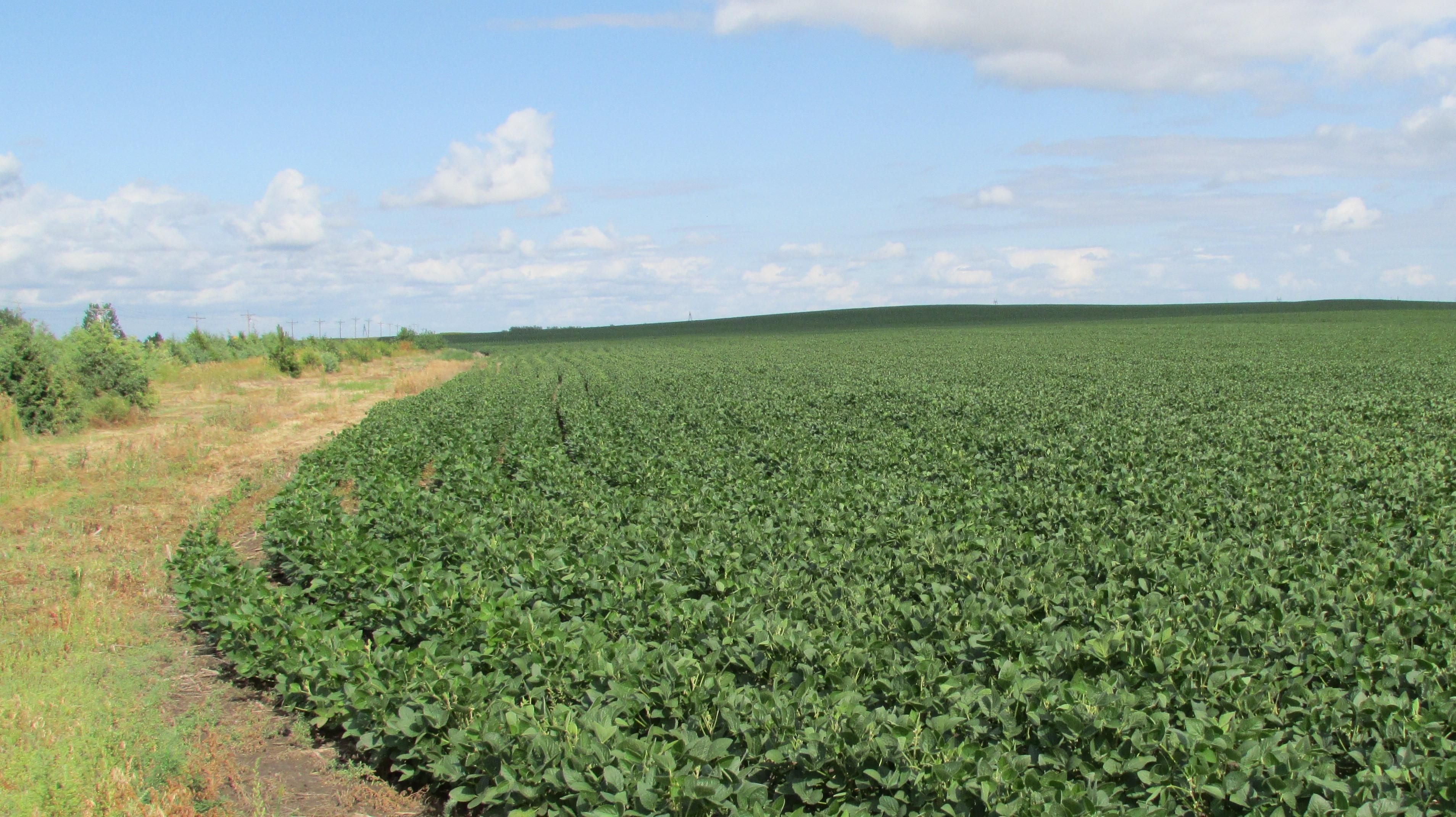 200 acres in Pierre, SD, 57501 LandWatch