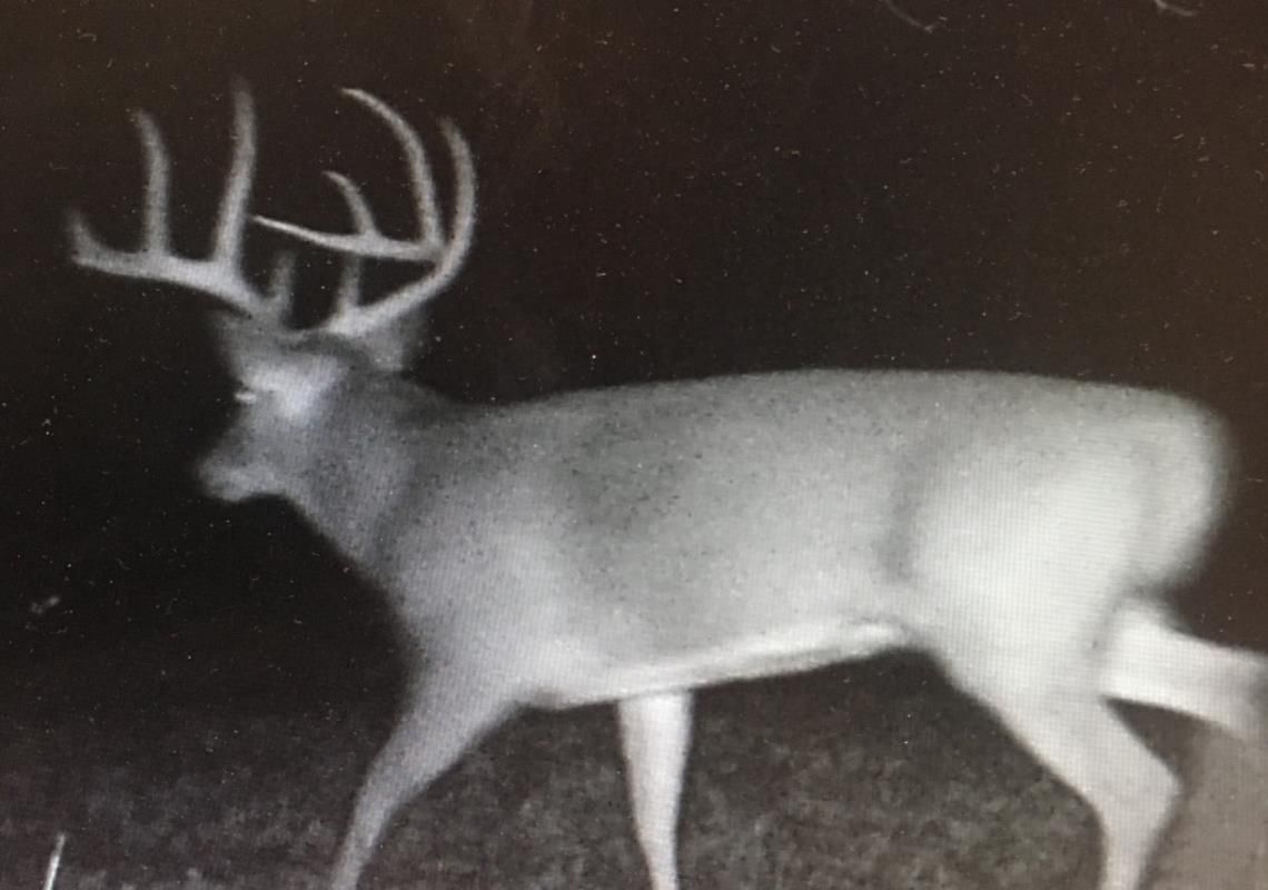 Tamms, Alexander County, IL Hunting Property for sale Property ID