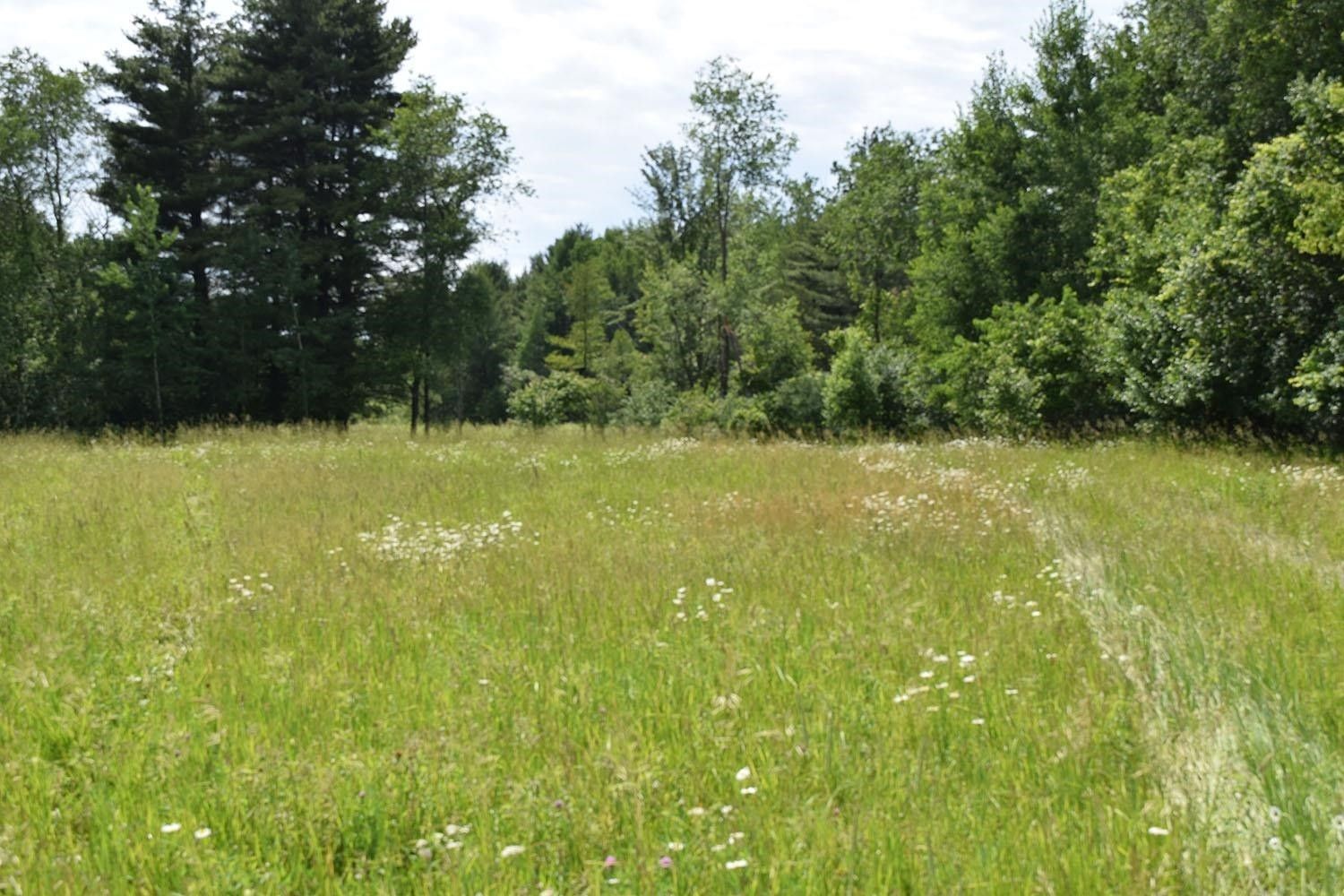 Gresham, Shawano County, WI Undeveloped Land, Homesites for sale