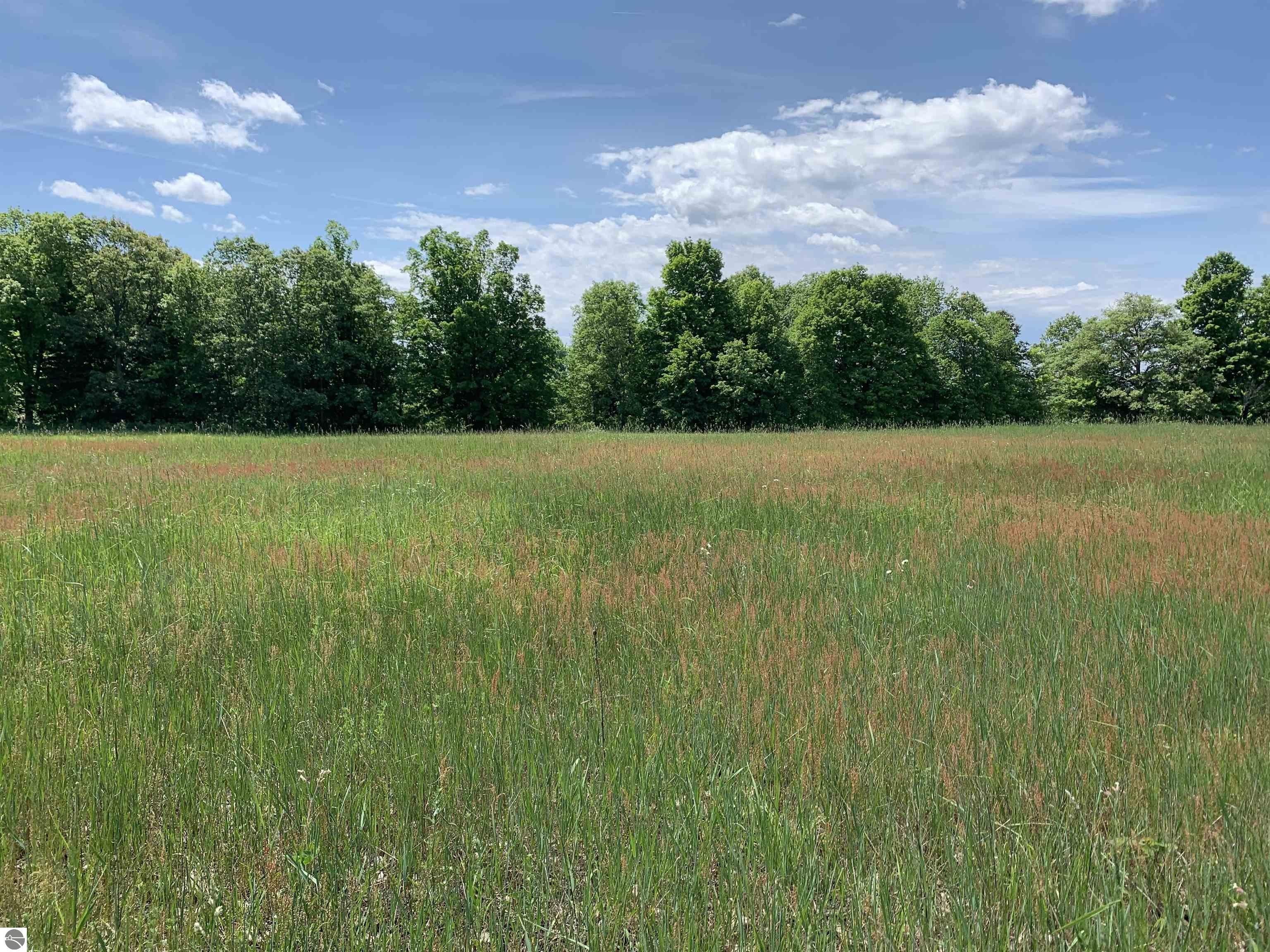 Lake, Isabella County, MI Undeveloped Land, Lakefront Property, Waterfront Property for sale