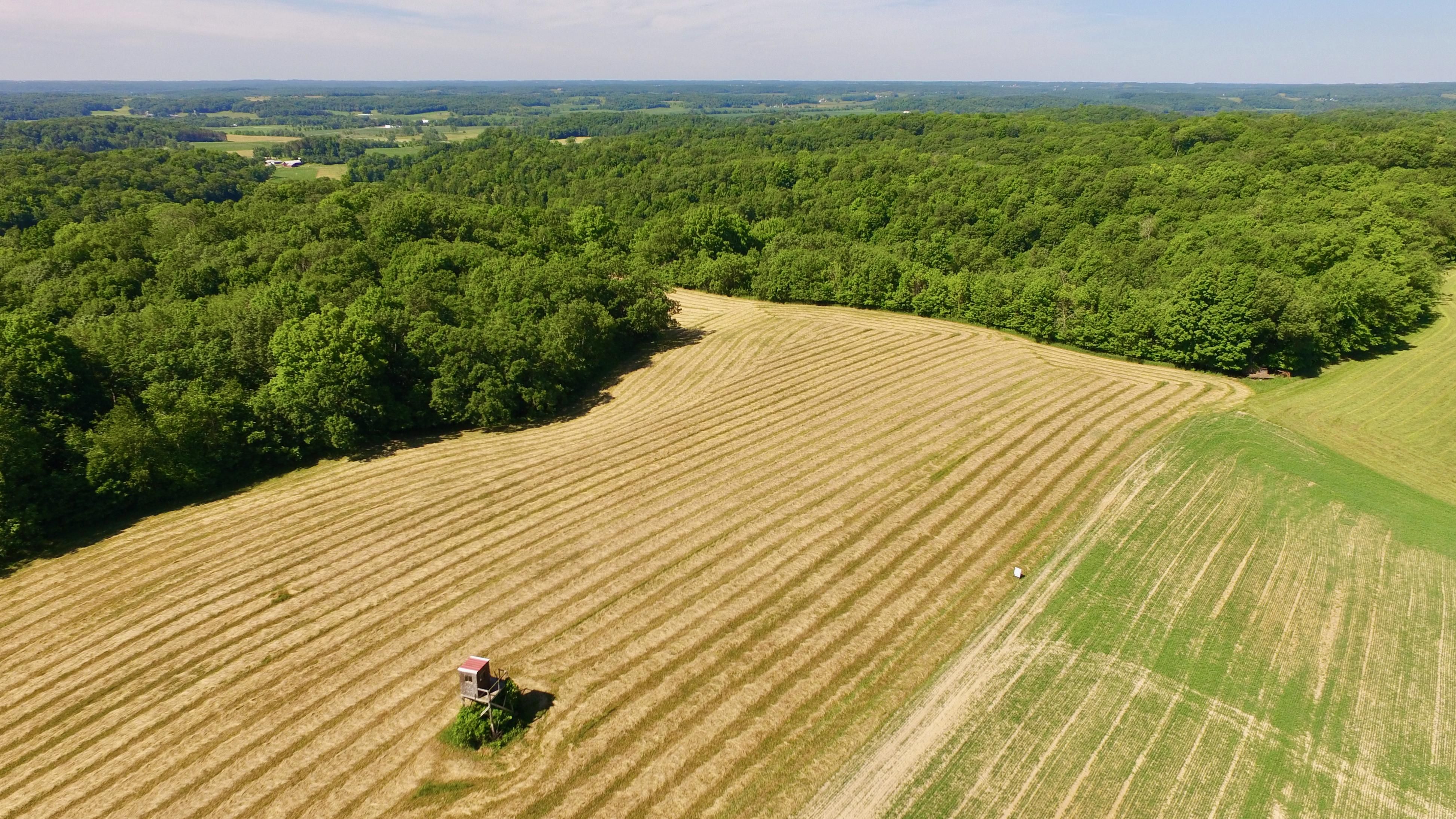 Boyceville, Dunn County, WI Hunting Property for sale Property ID