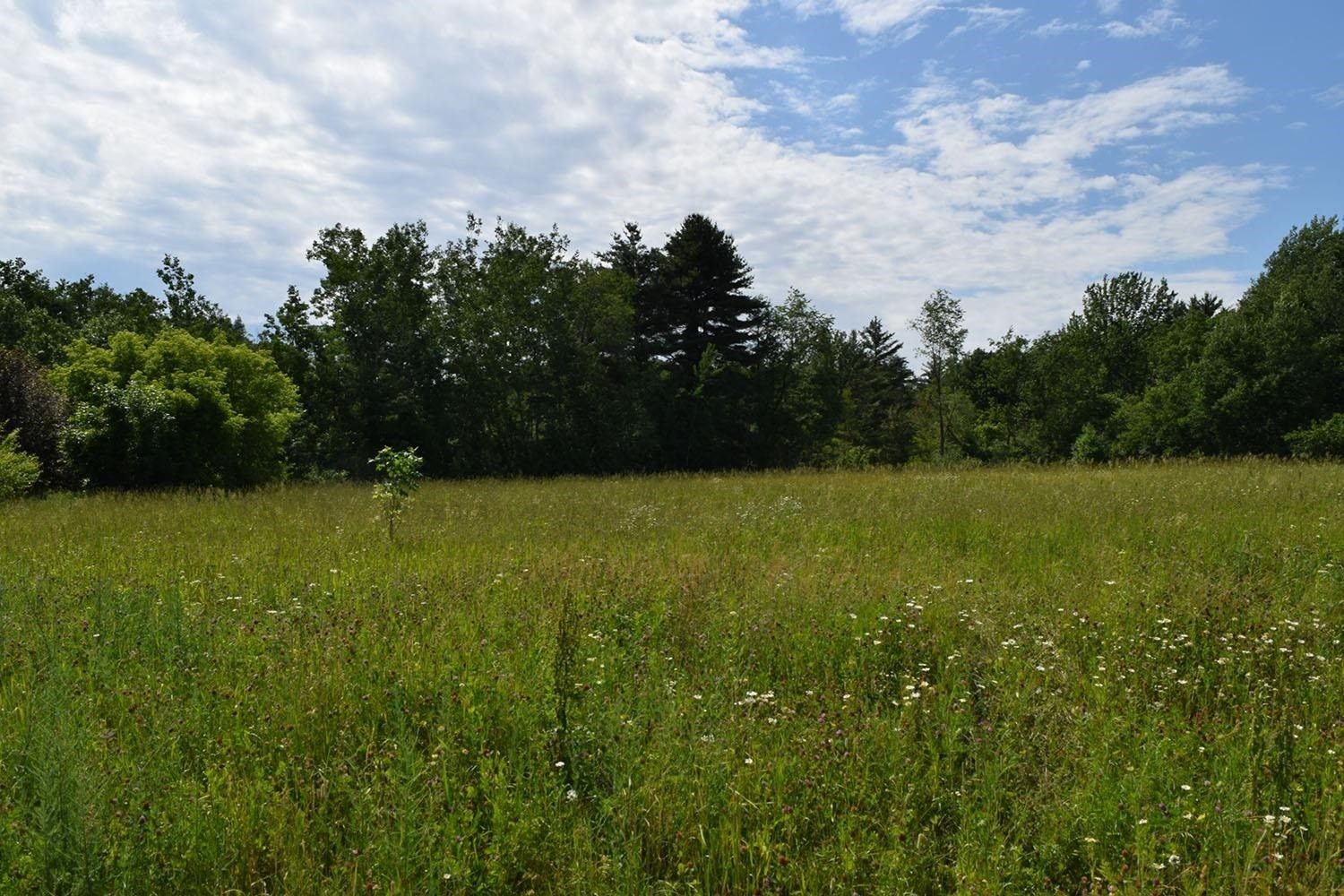 Gresham, Shawano County, WI Undeveloped Land, Homesites for sale