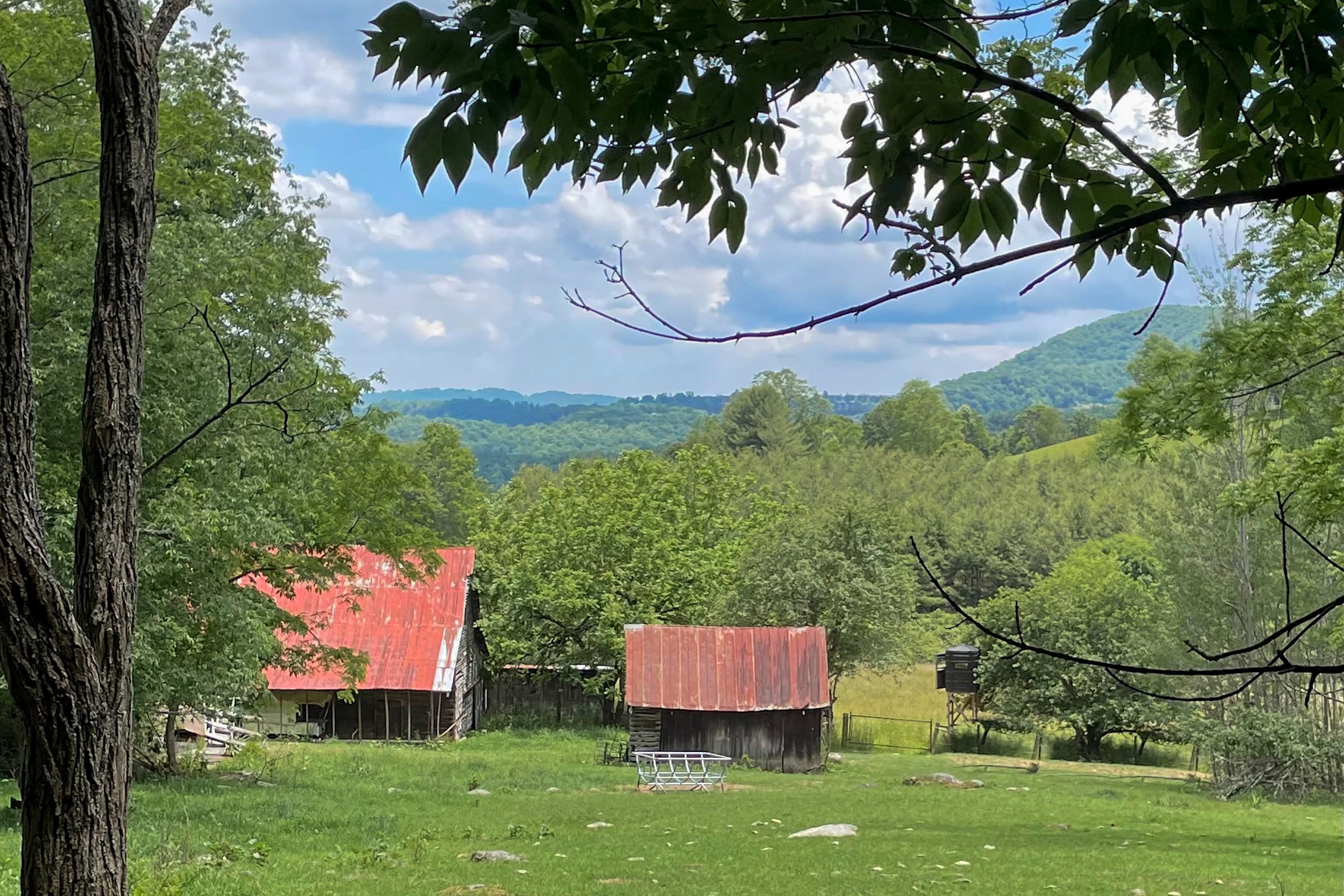 Banner Elk, Watauga County, NC Farms and Ranches, Horse Property for