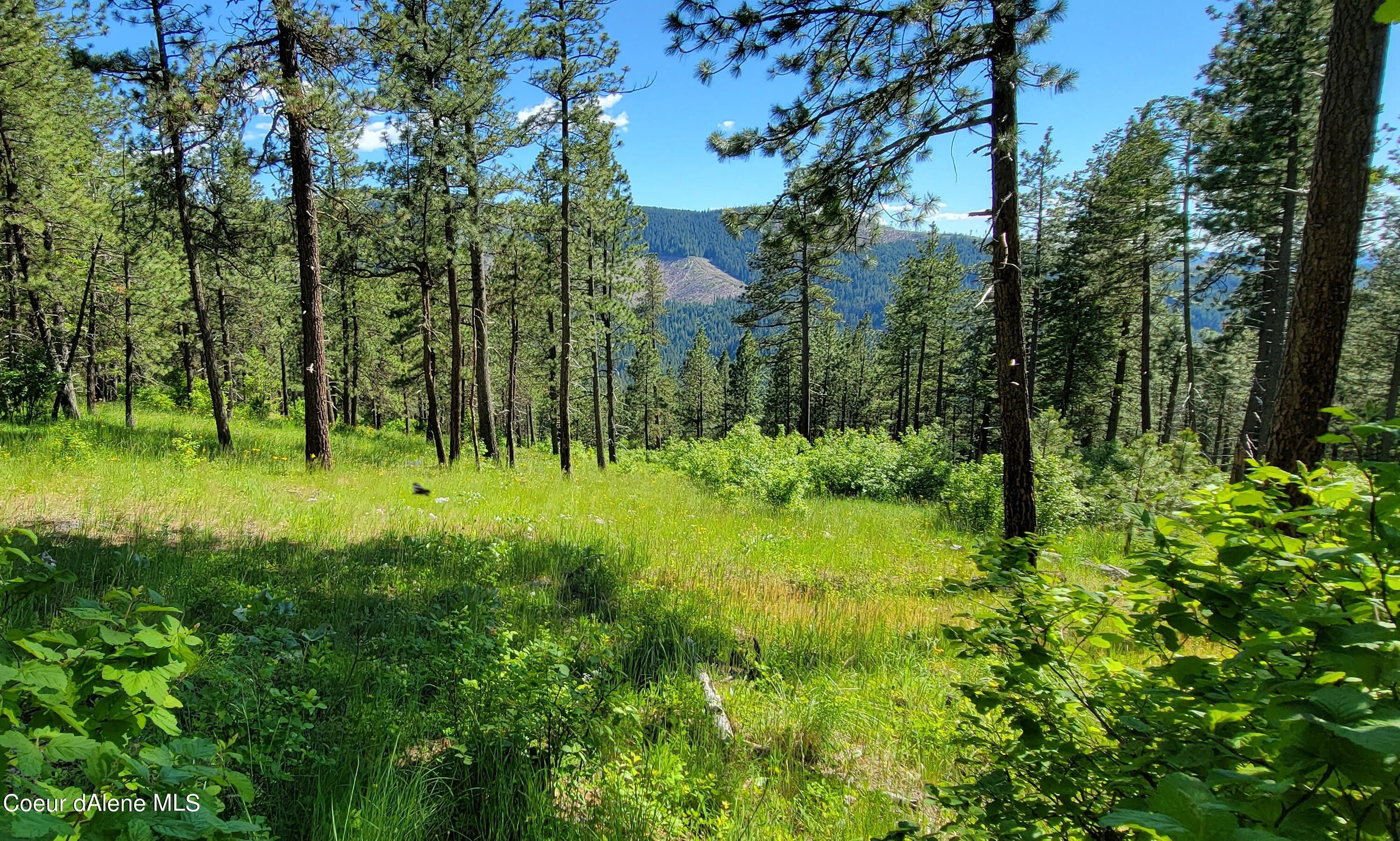 Cataldo, Kootenai County, ID Undeveloped Land for sale Property ID