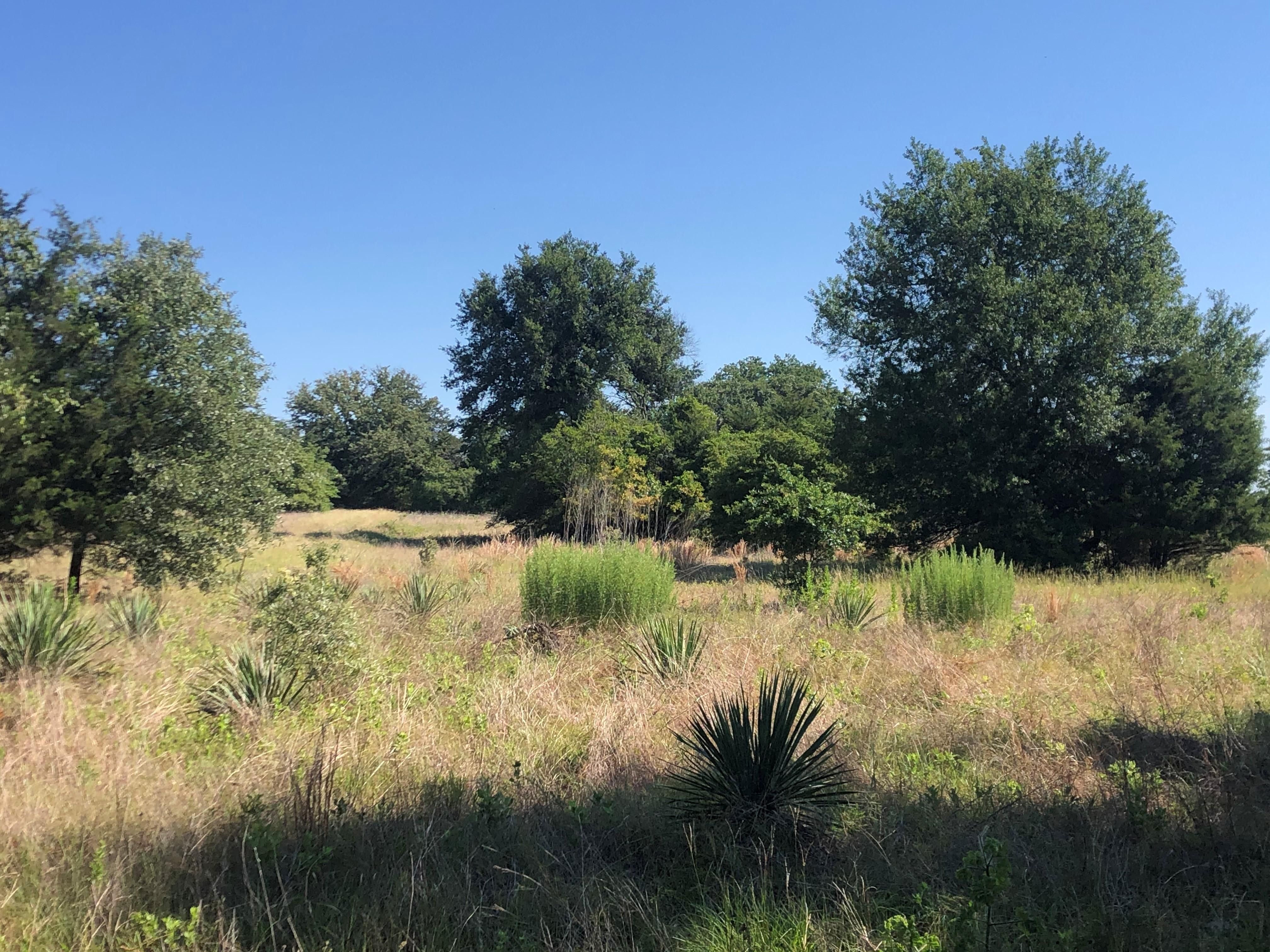 TBD U.S. Hwy 84 E, Fairfield, TX 75840 LandWatch