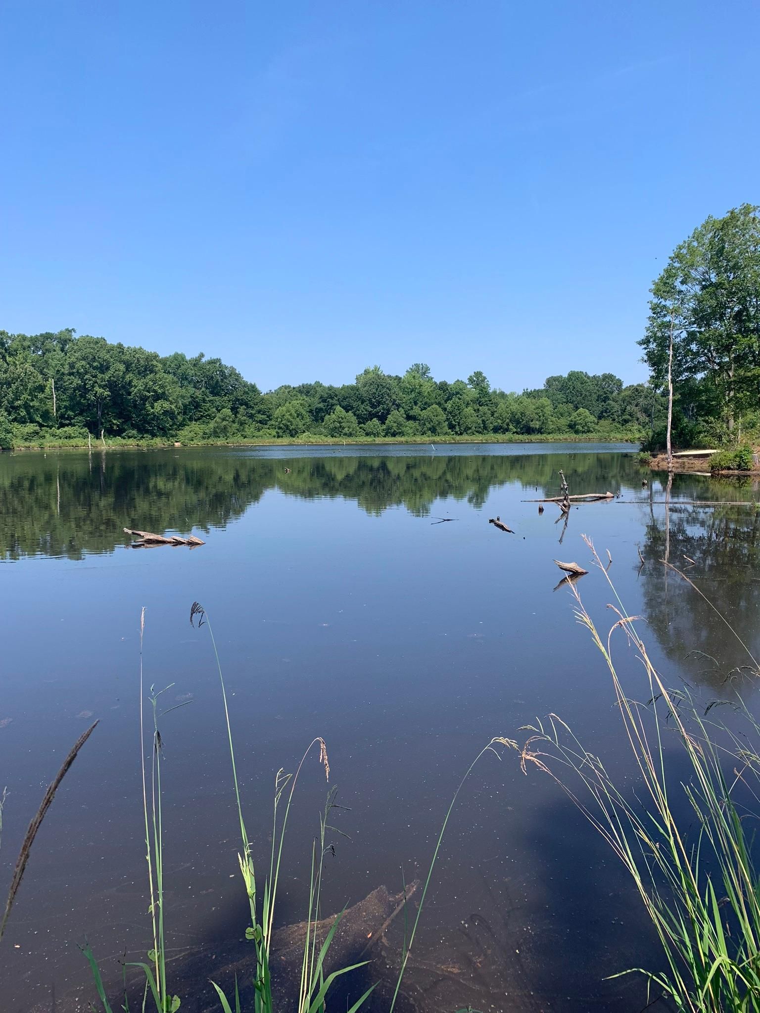 Collinsville, Lauderdale County, MS Recreational Property, Timberland