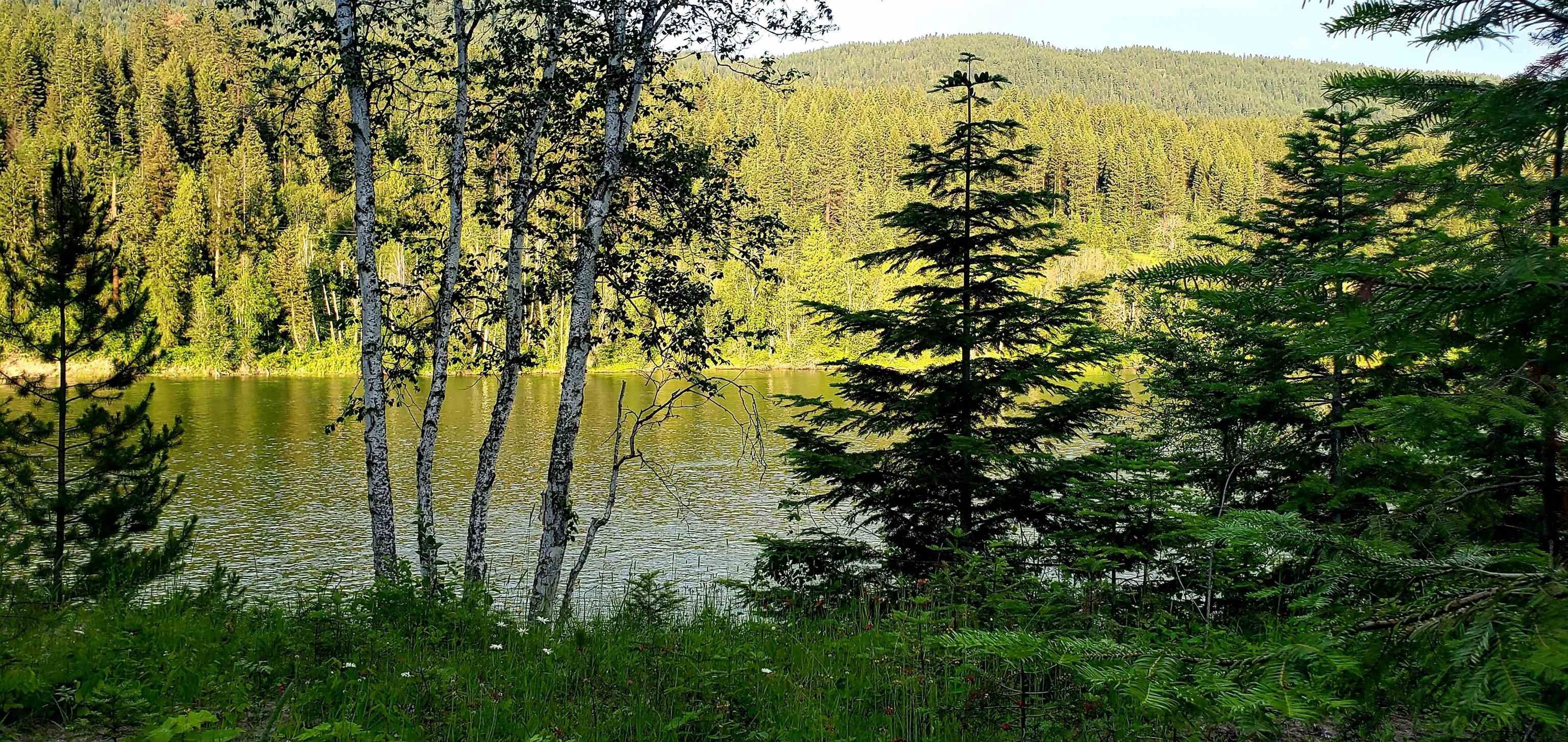 Cusick, Pend Oreille County, WA Undeveloped Land, Lakefront Property