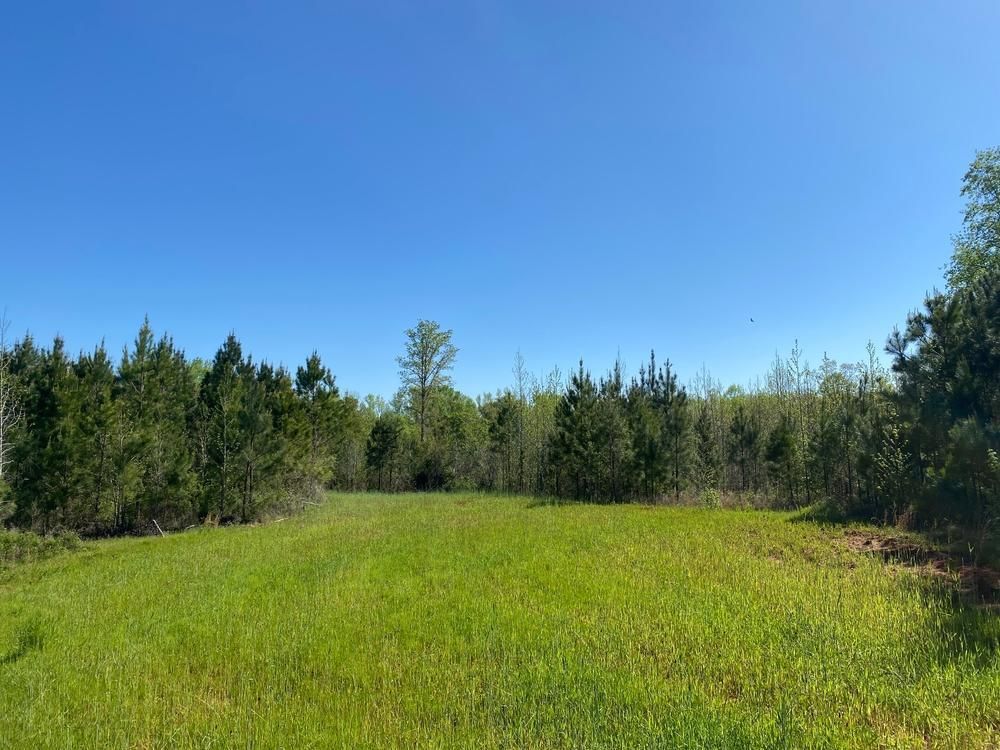 Elberton, Elbert County, GA Recreational Property, Timberland Property