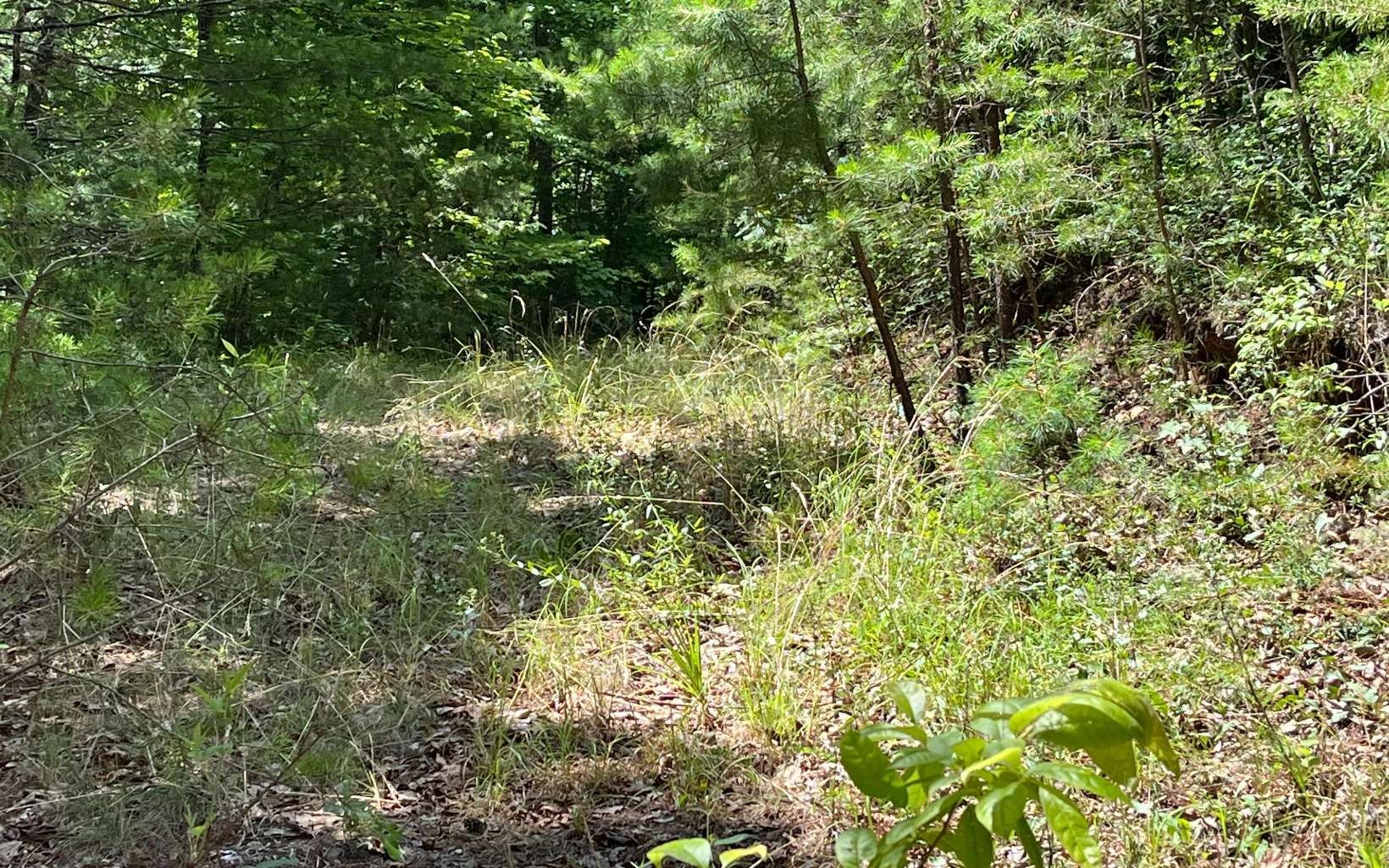 Murphy, Cherokee County, NC for sale Property ID 414136840 LandWatch