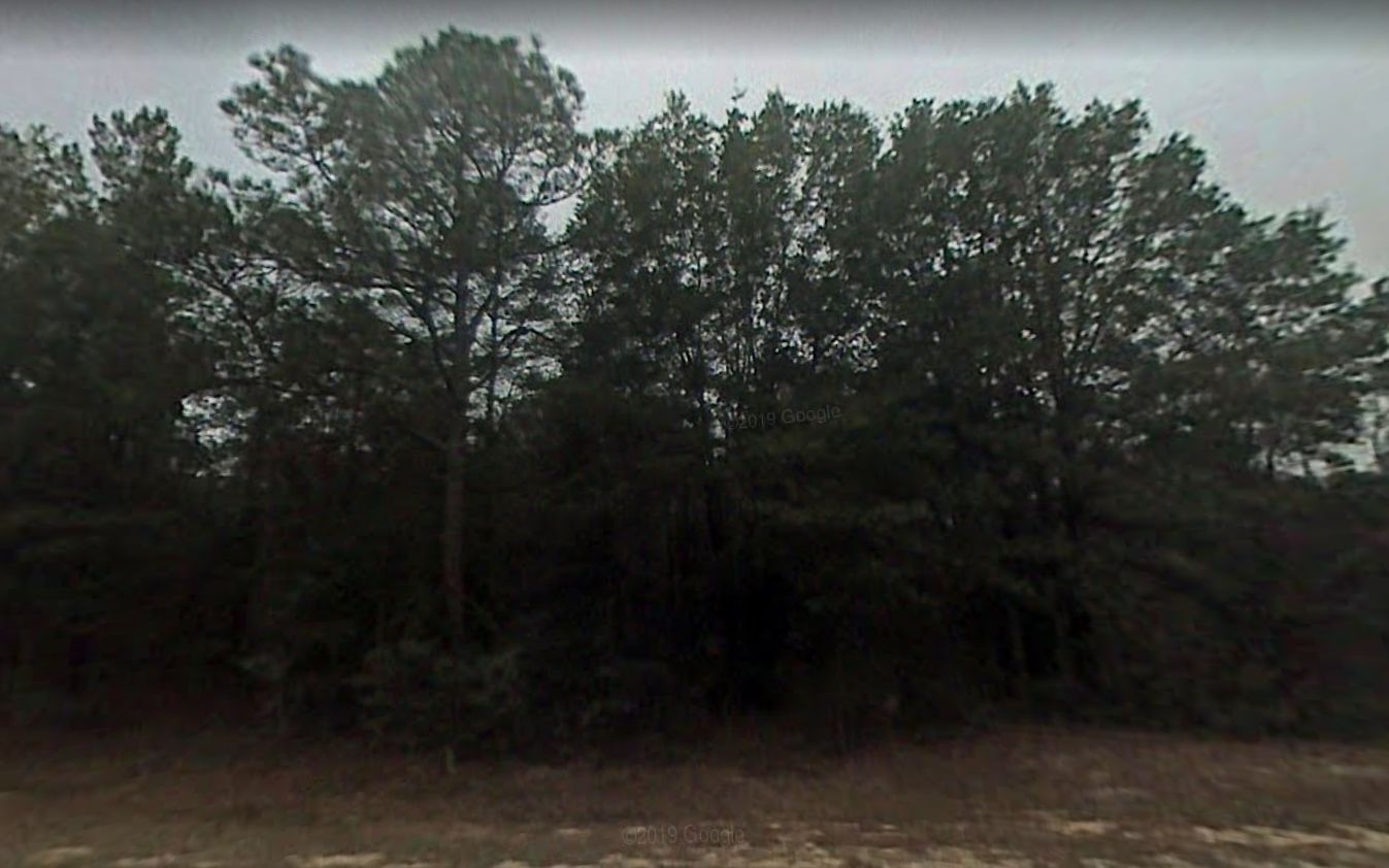 Alford, Jackson County, FL Recreational Property, Undeveloped Land