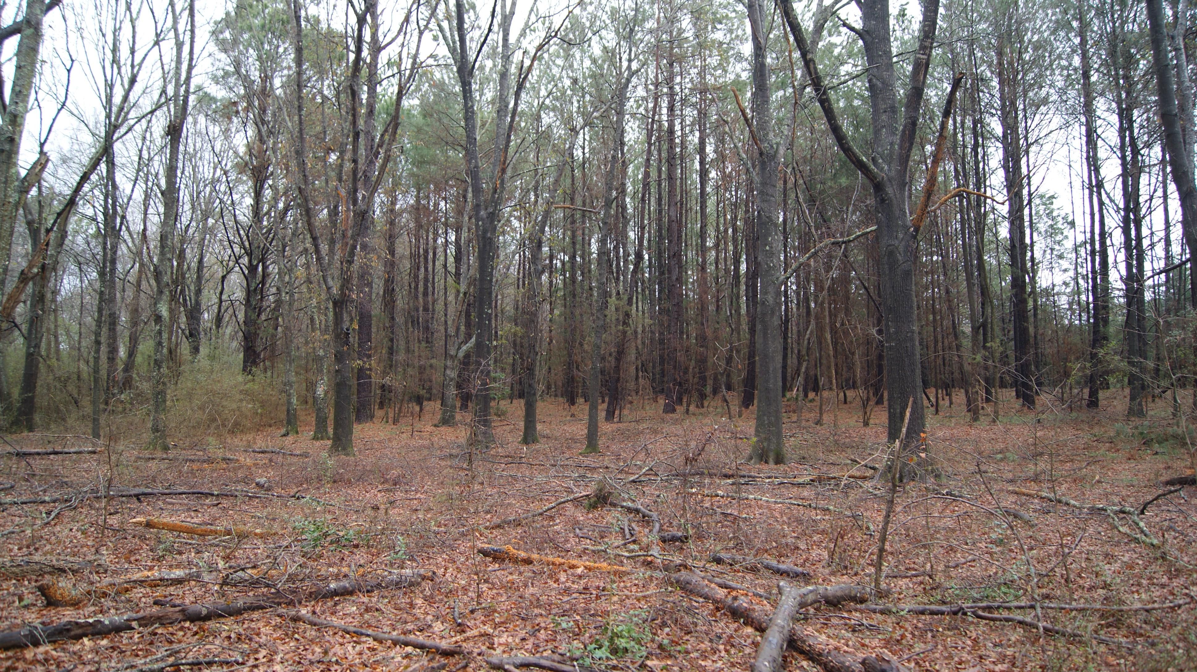 Cross Hill, Laurens County, SC Recreational Property, Commercial