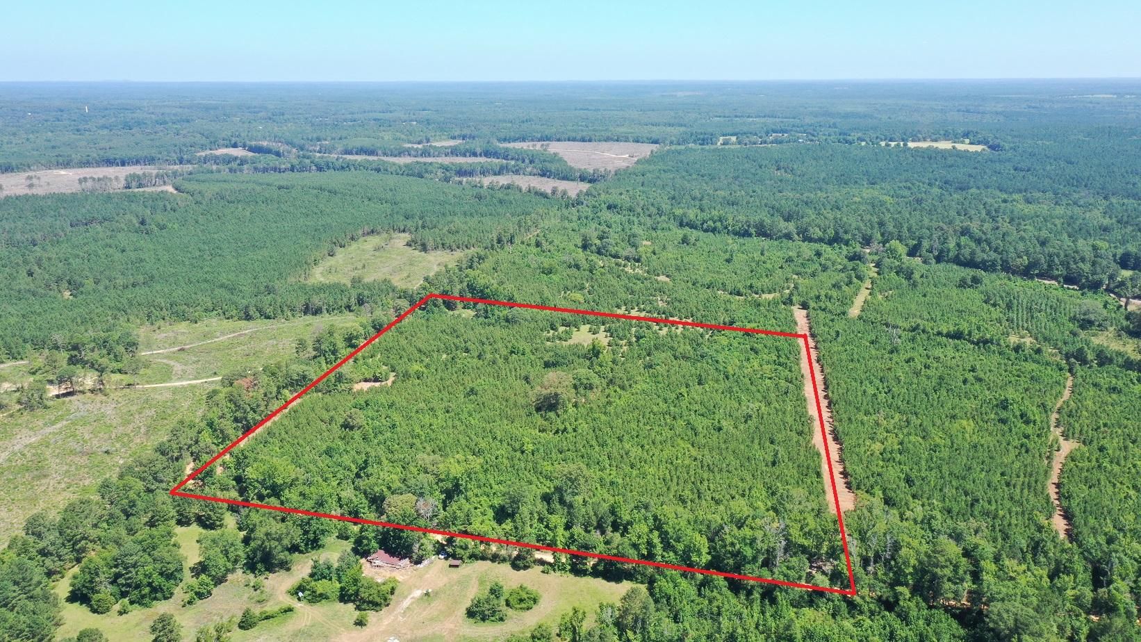 CR 1782, Linden, TX 75563 MLS 20224120 LandWatch