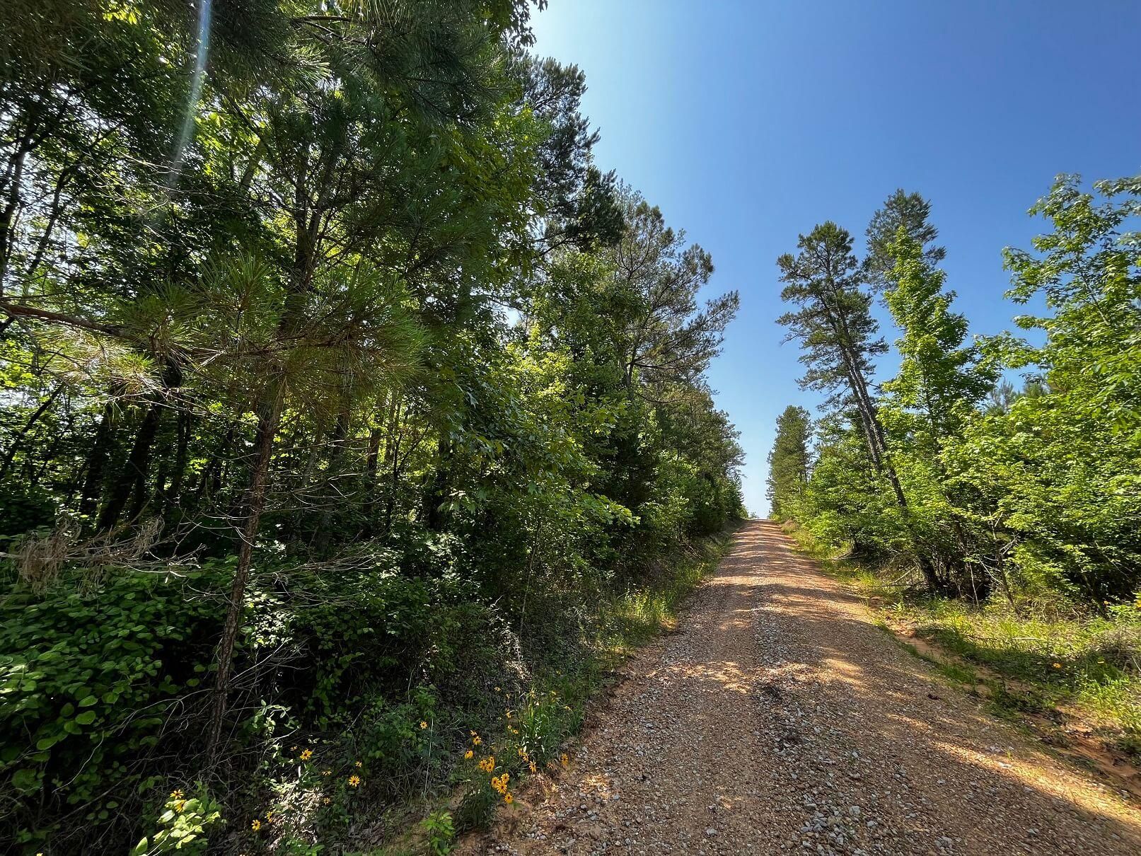 Calhoun City, Calhoun County, MS Recreational Property, Timberland