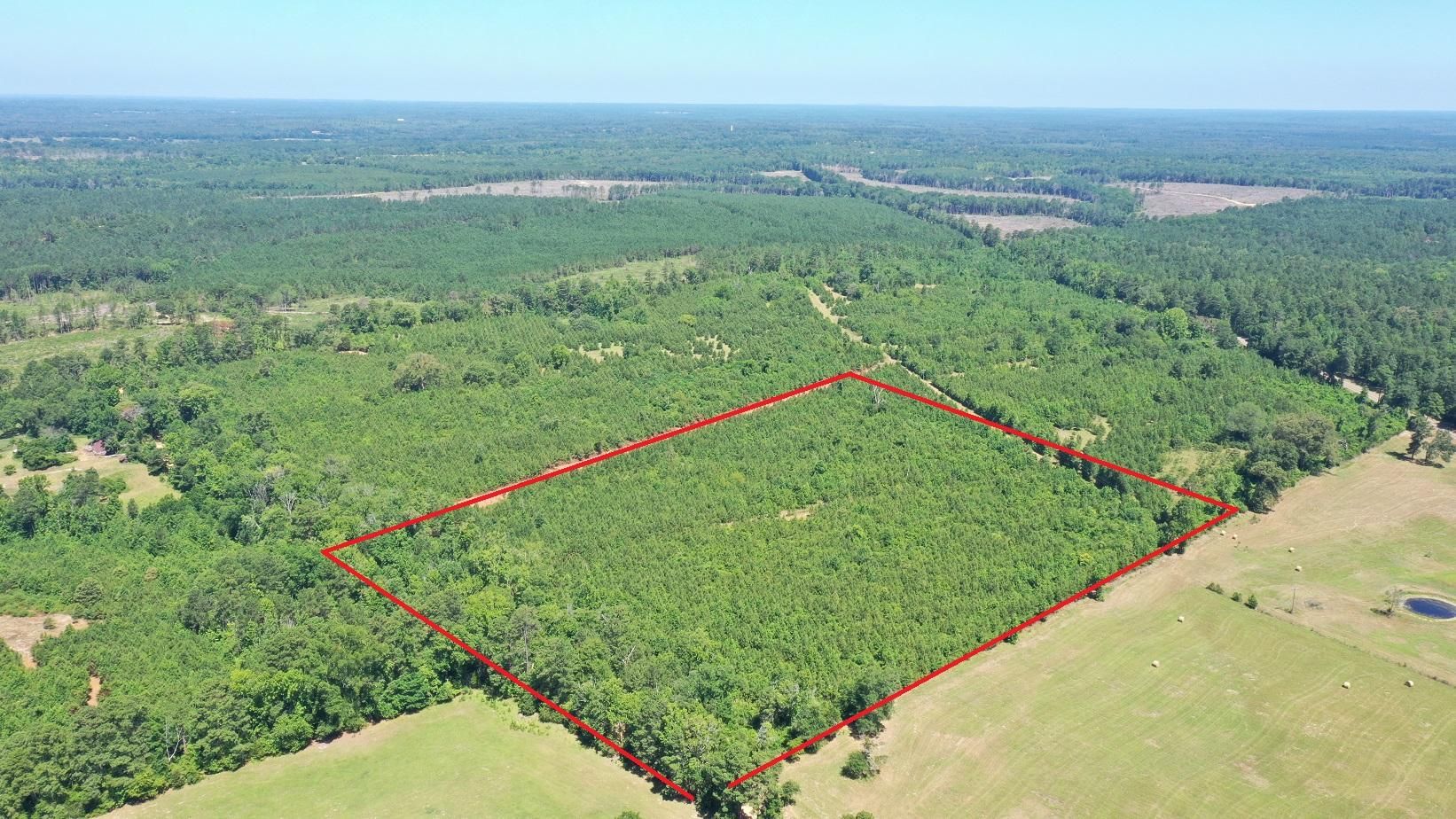 Linden, Cass County, TX Recreational Property, Timberland Property for