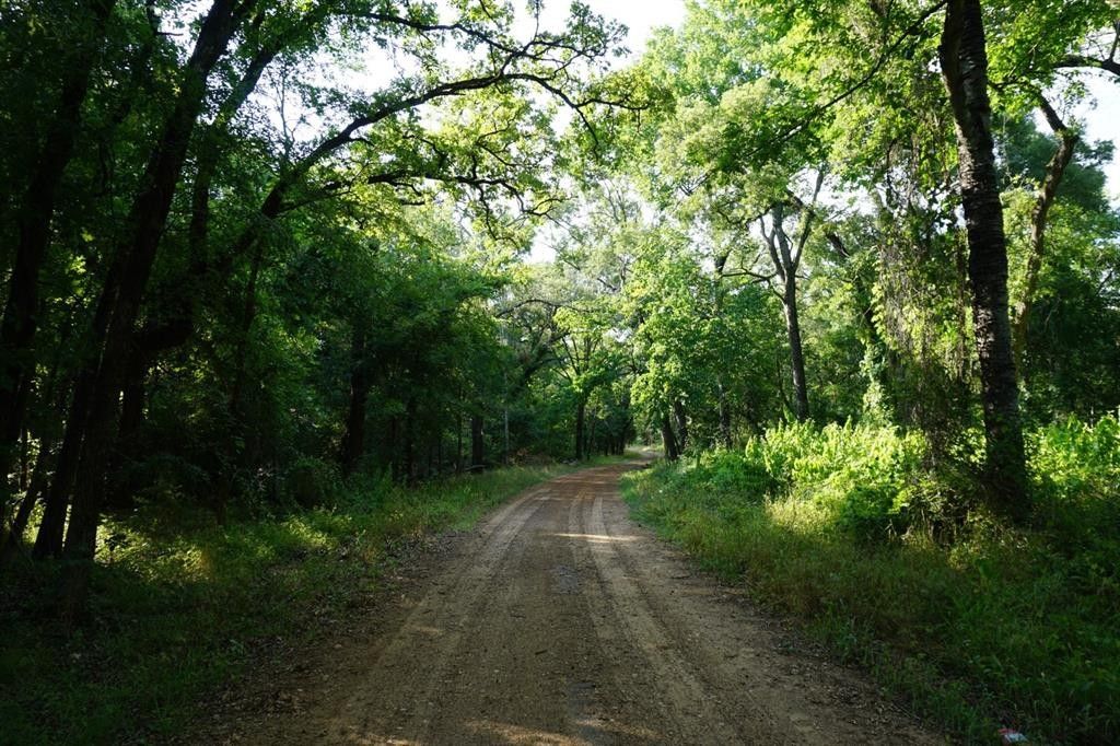 Cayuga, Anderson County, TX Undeveloped Land for sale Property ID