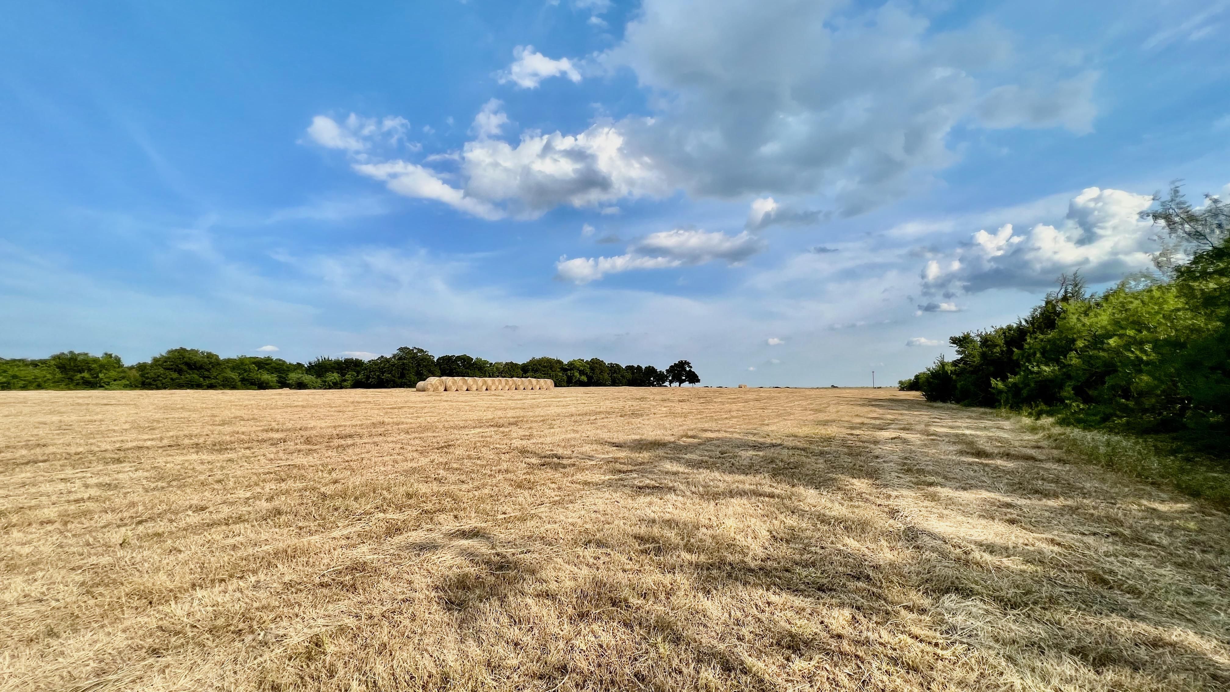 Streetman, Freestone County, TX Farms and Ranches, Undeveloped Land for