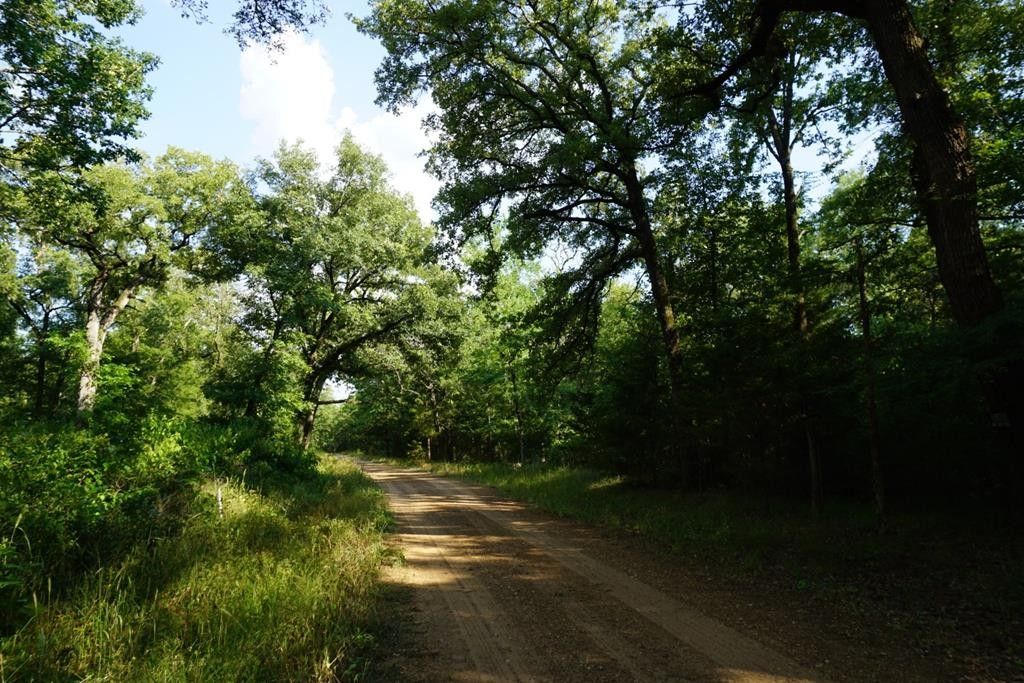 Cayuga, Anderson County, TX Undeveloped Land for sale Property ID